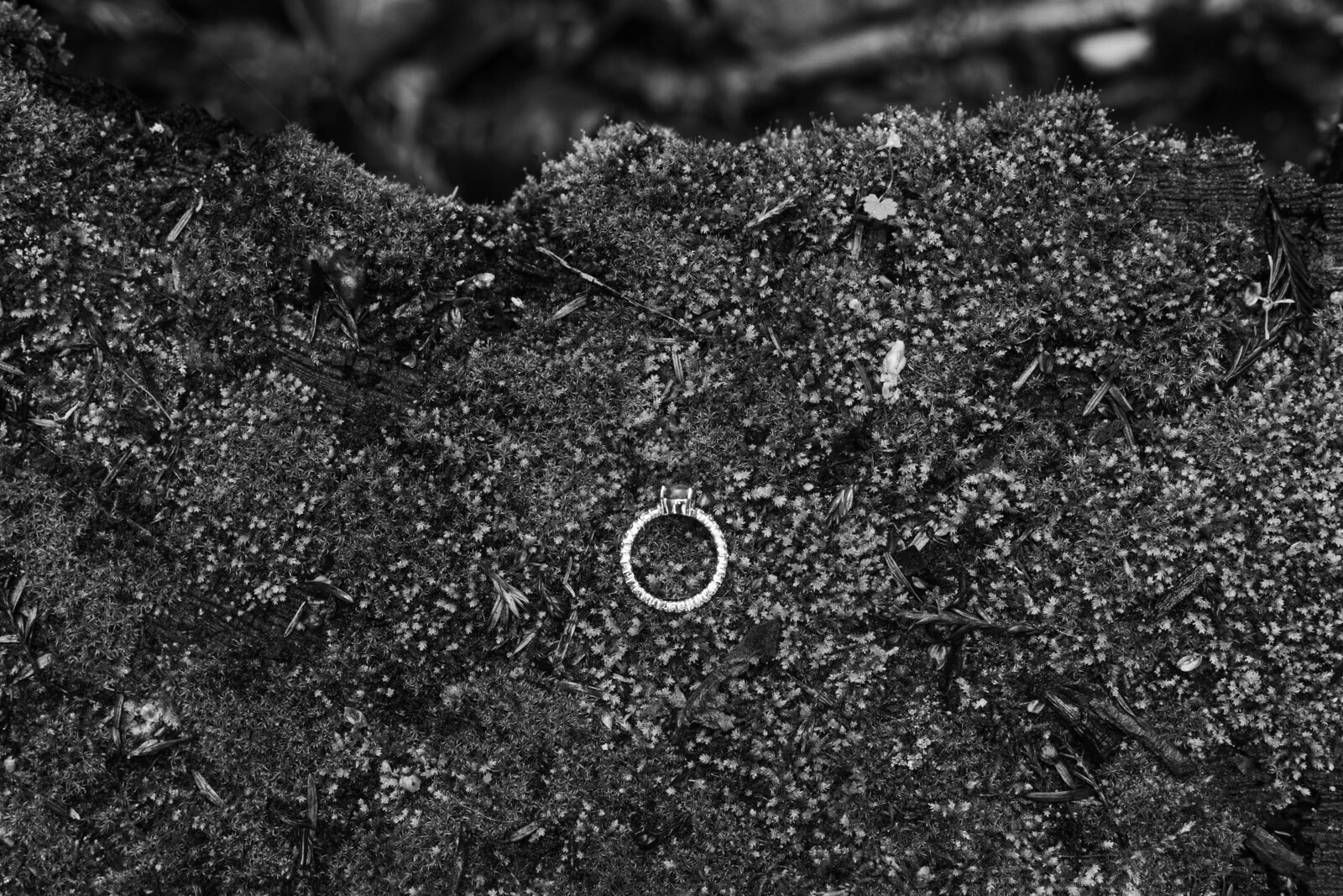 Big Sur Proposal Manjanatha-49