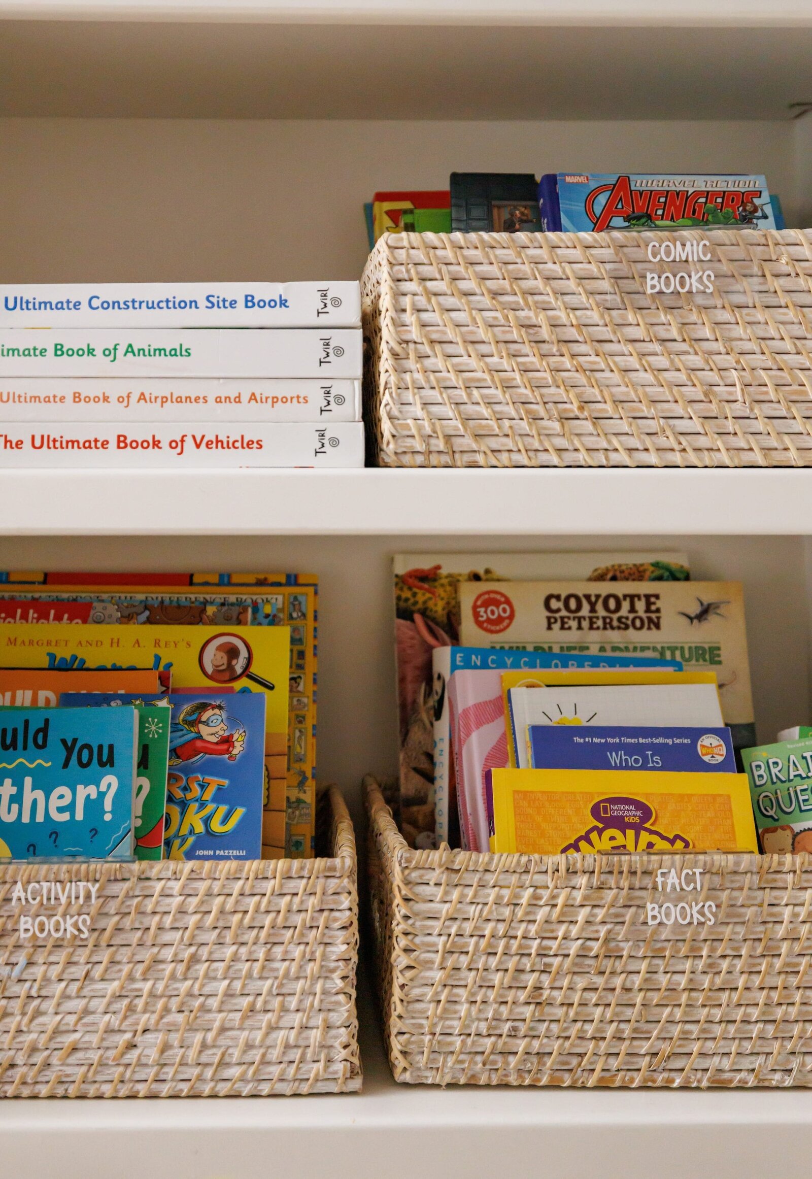 vision and hammer organization of books in labeled baskets