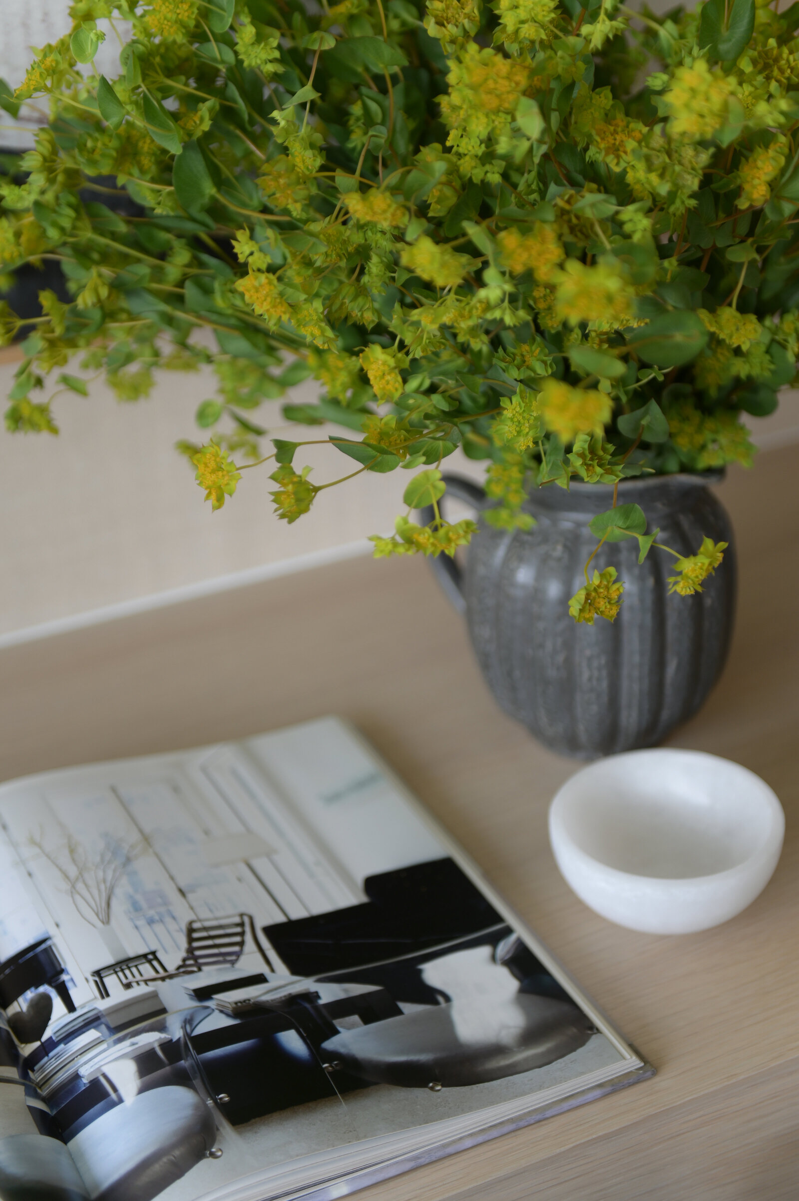 Kerrisdale Design Westside Modern (22)