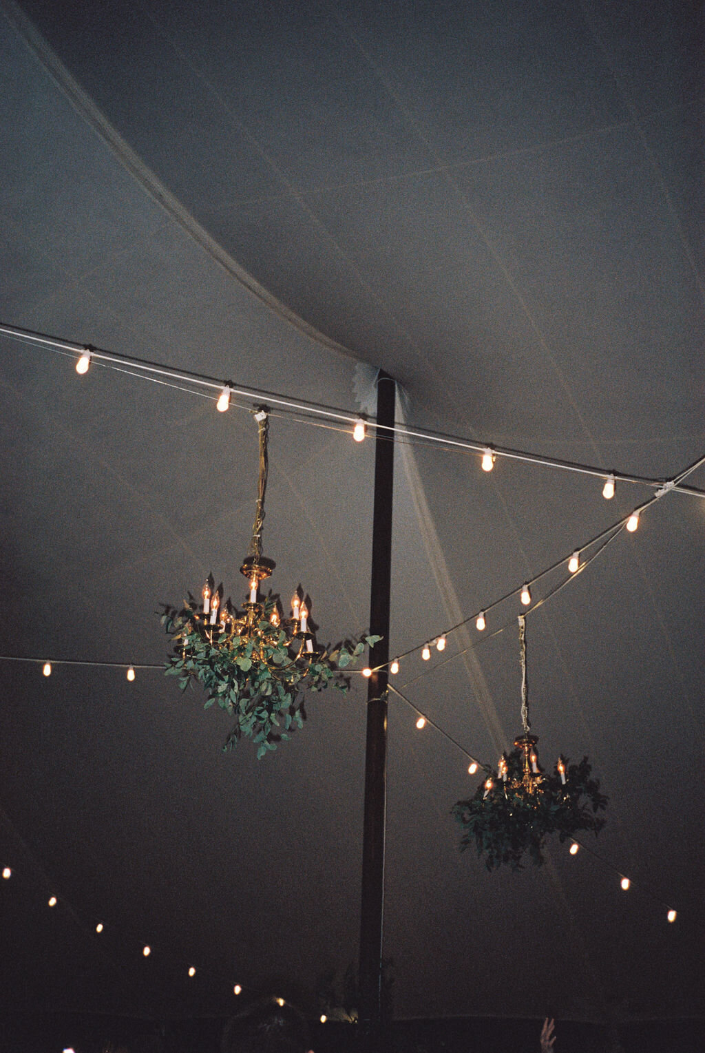 Gold chandeliers inside the tent at night with smilax greenery hanging from them.