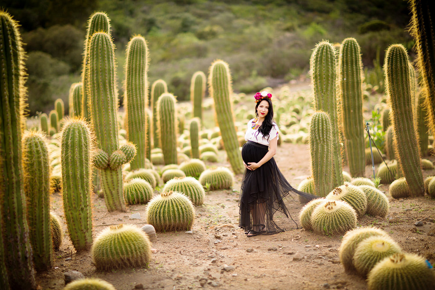 Artistic Maternity Session at cactus garden in San Diego.