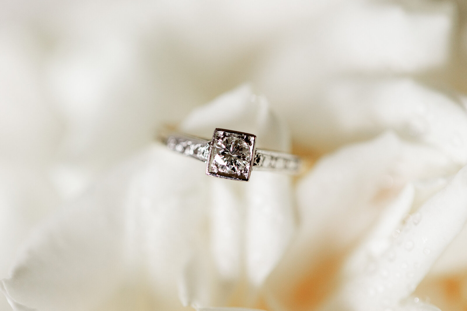 250405-Shelby-Alastair-Rexvil-Photography-Adelaide-Wedding-Photographer-107