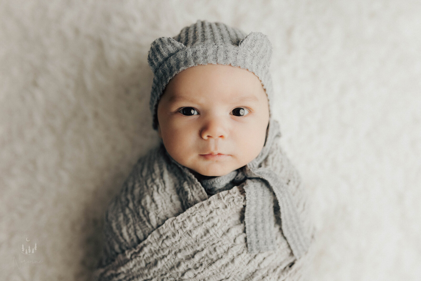 a newborn boy with a gray wrap, gray hat and white fur backdrop, laying on his back, looking up at the camera. Image watermarked by norpine photography of gaylord michigan