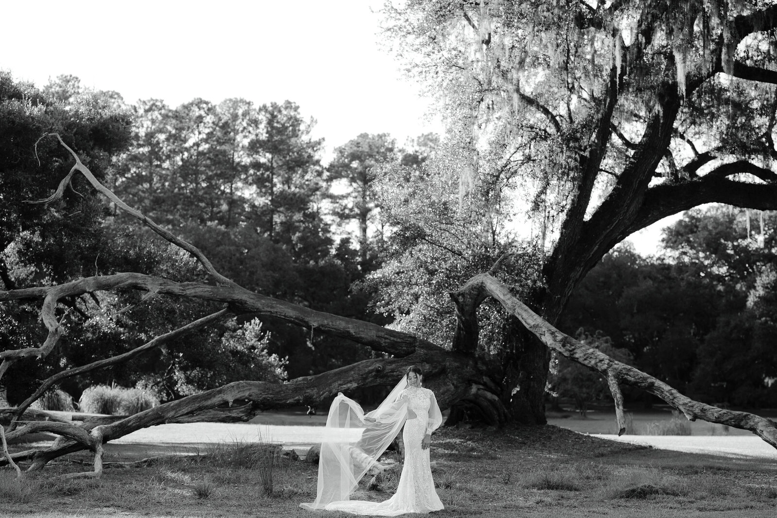 Aiken SC Wedding Photographer