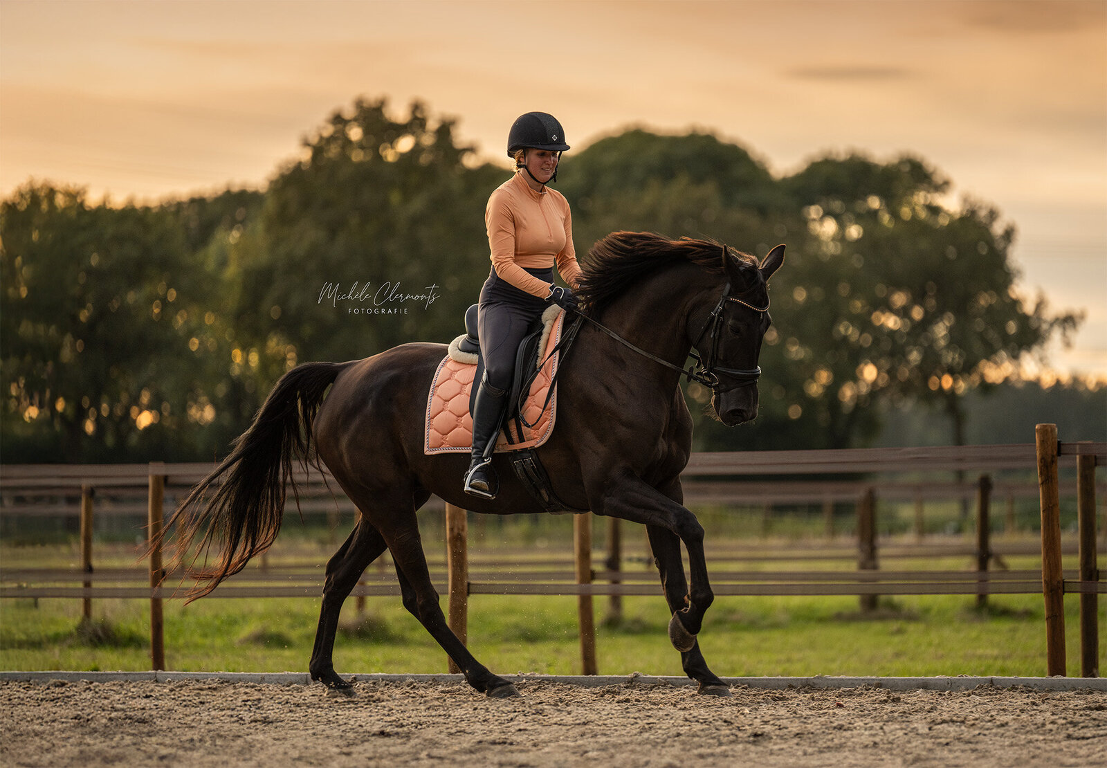 DSC_7059-paardenfotografie-michele-clermonts-fotografie