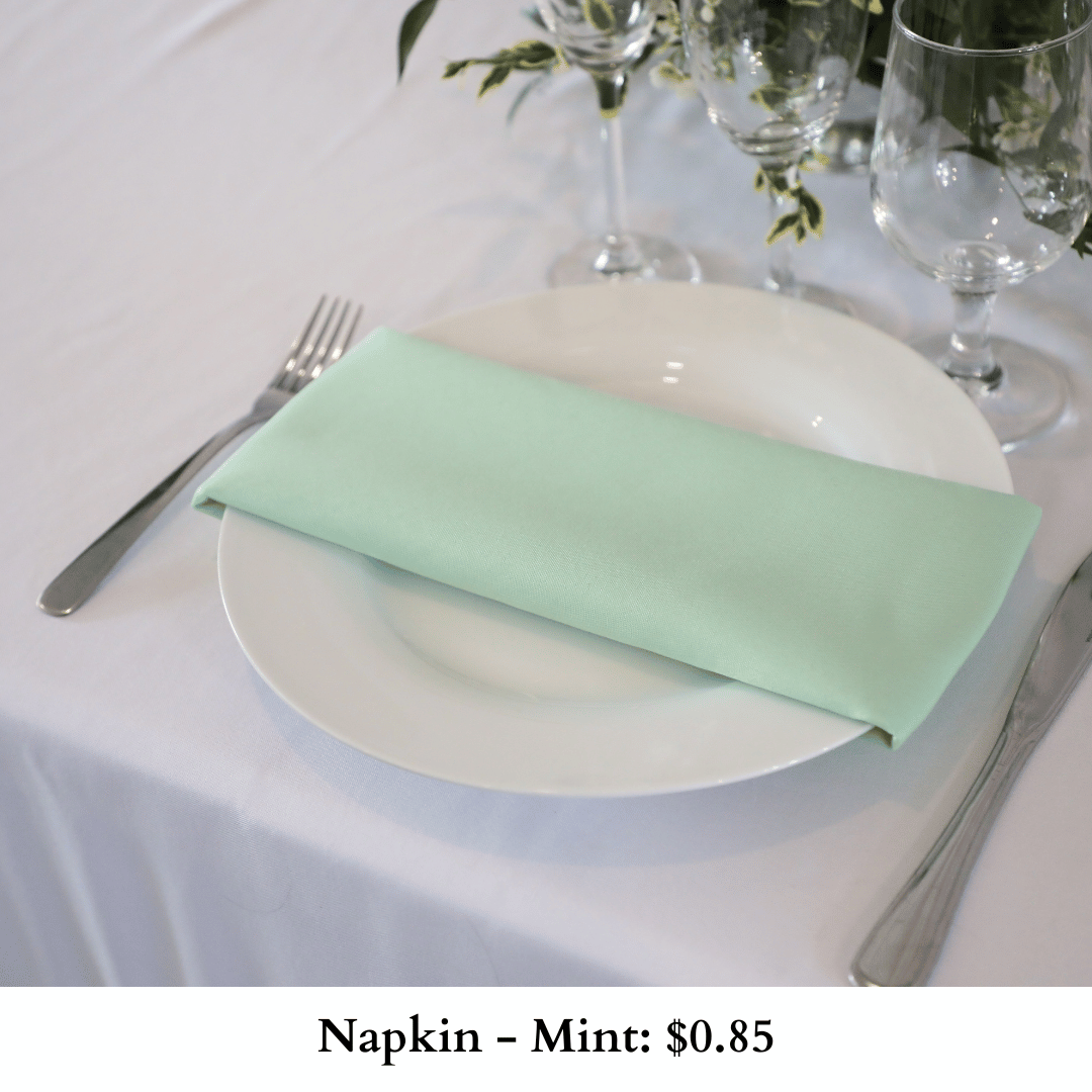 Napkin-Mint-206