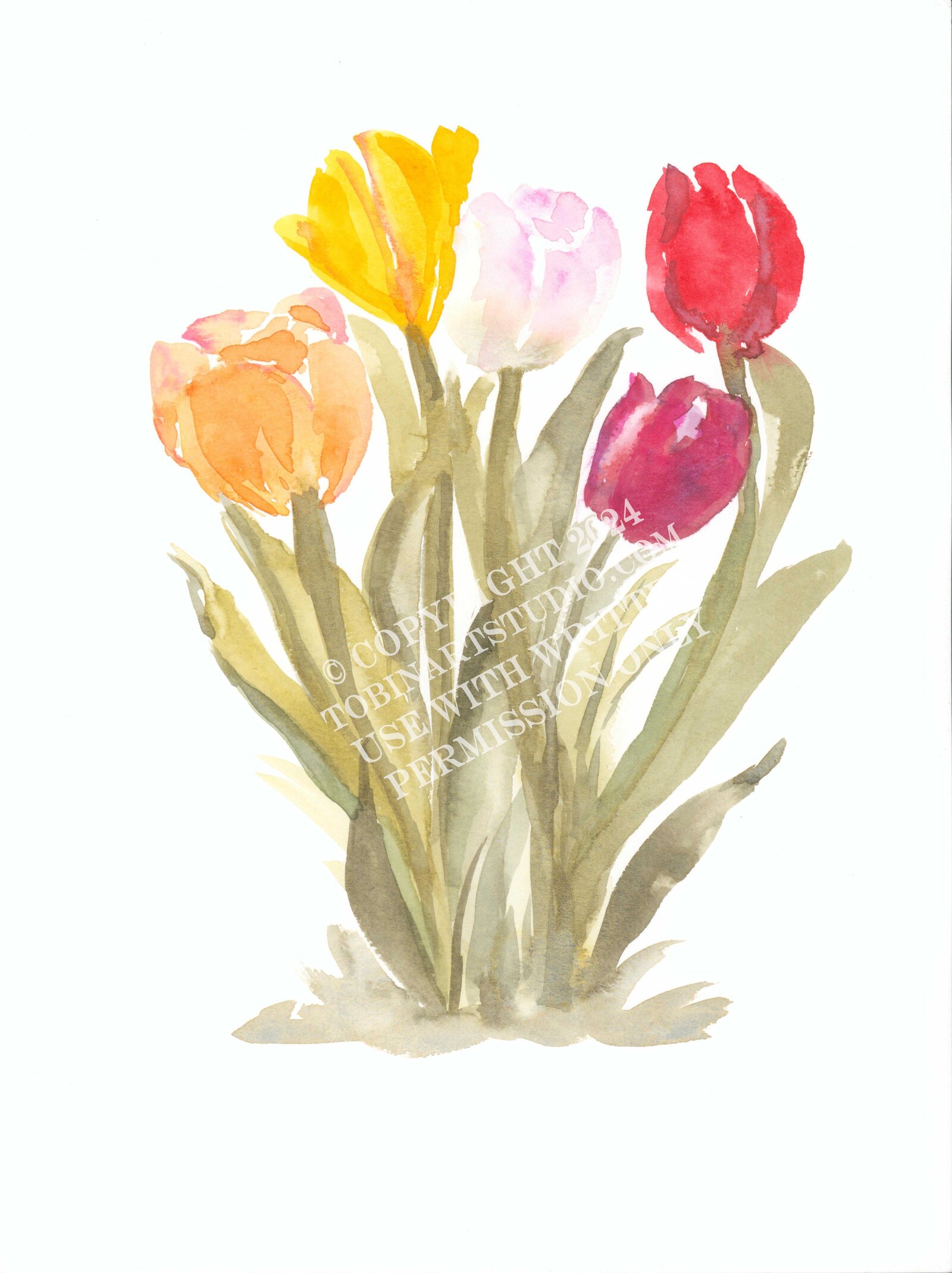 Tulips_WM SM