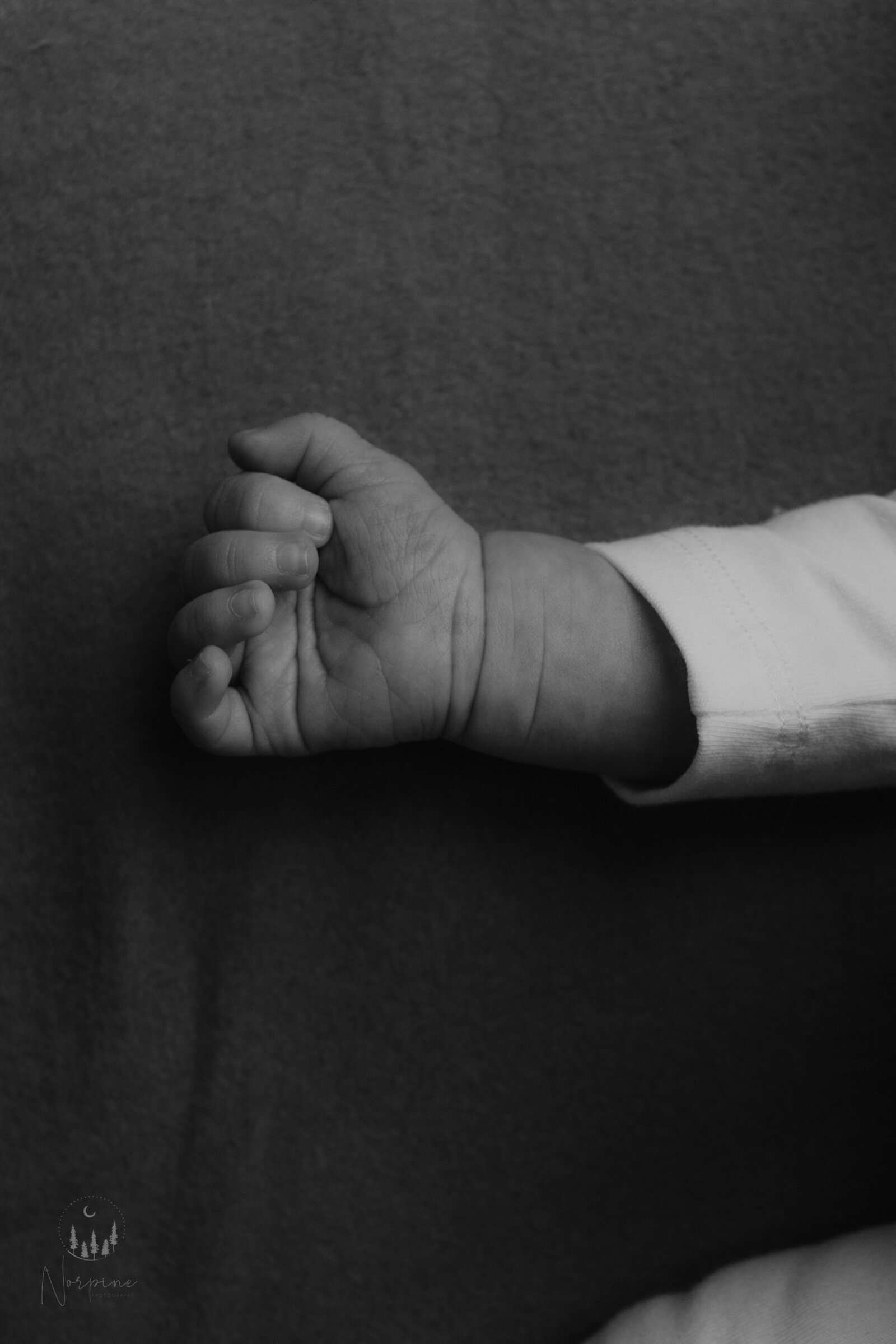 a black and white closeup of a gaylord michigan newborn's hand, slightly in a fist