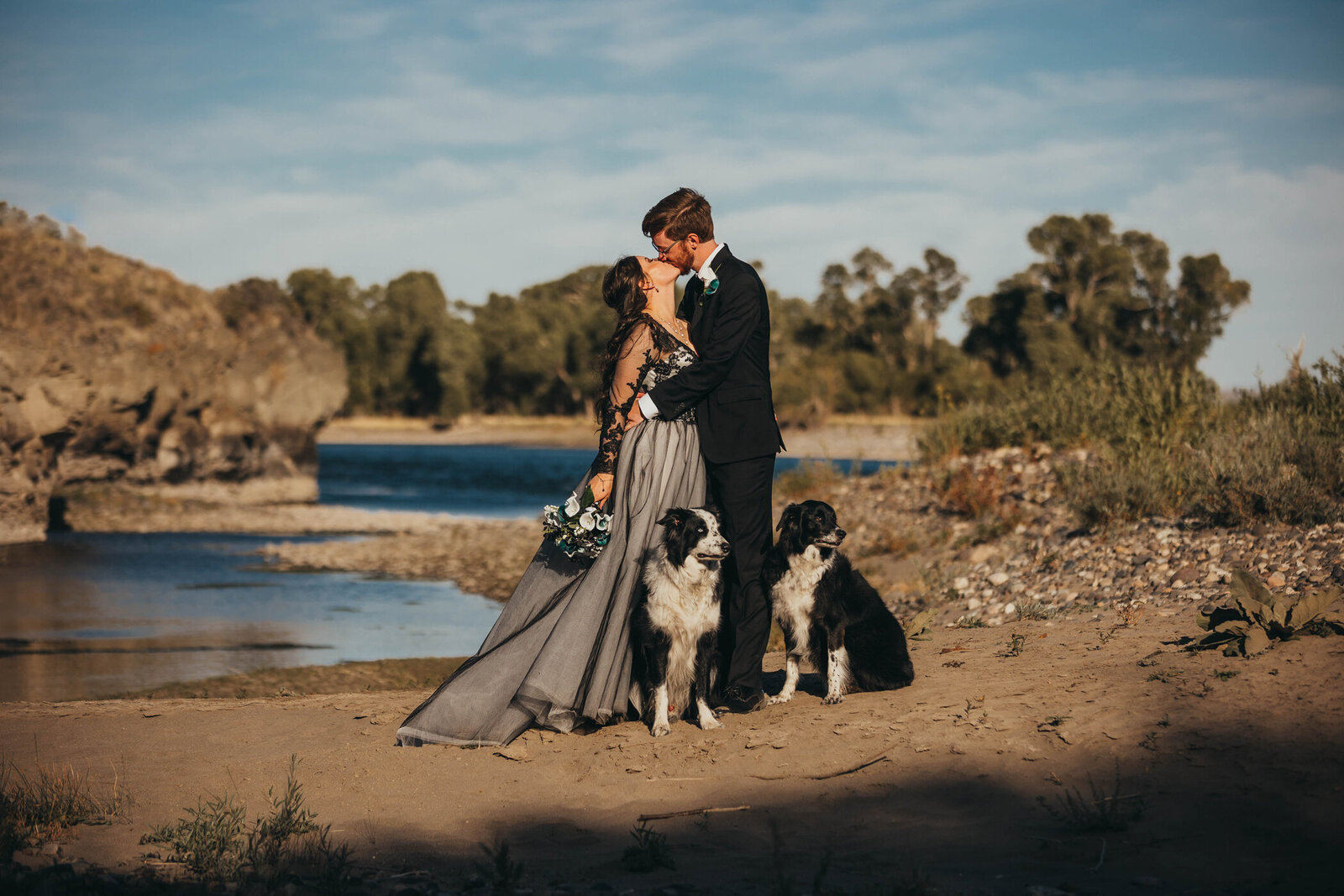 bride and groom kissing with dogs