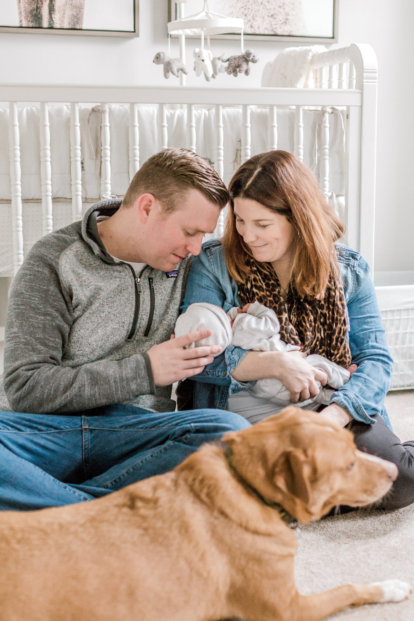 Blue Bell Pennsylvania In home newborn session with dog white and gray animal nursery wedding and lifestyle photographer Lytle Photo Co (20 of 109)