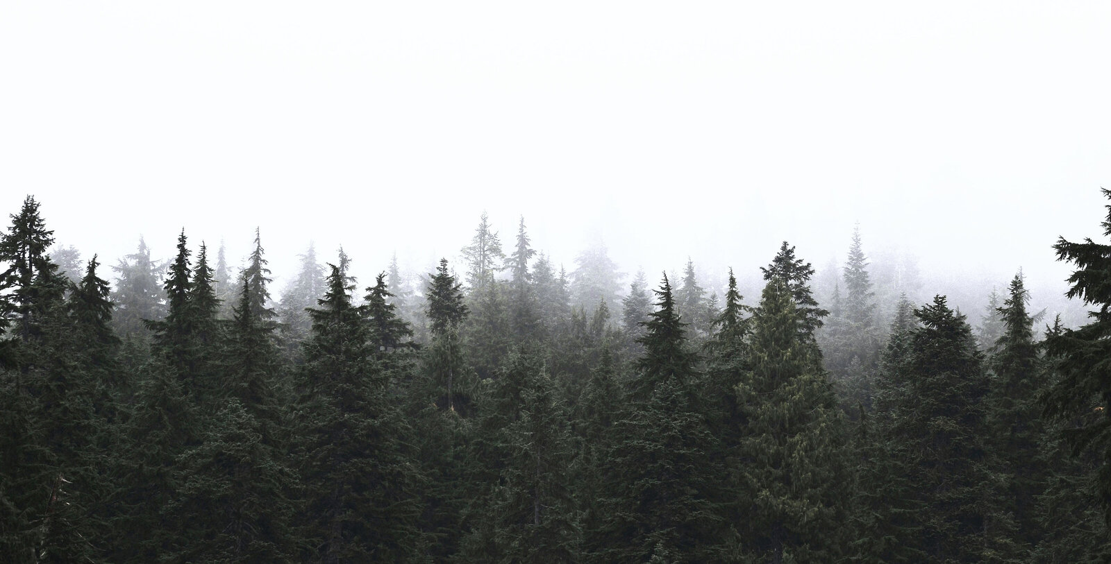 terra-raponi-9P4FXwnjrCY-unsplash