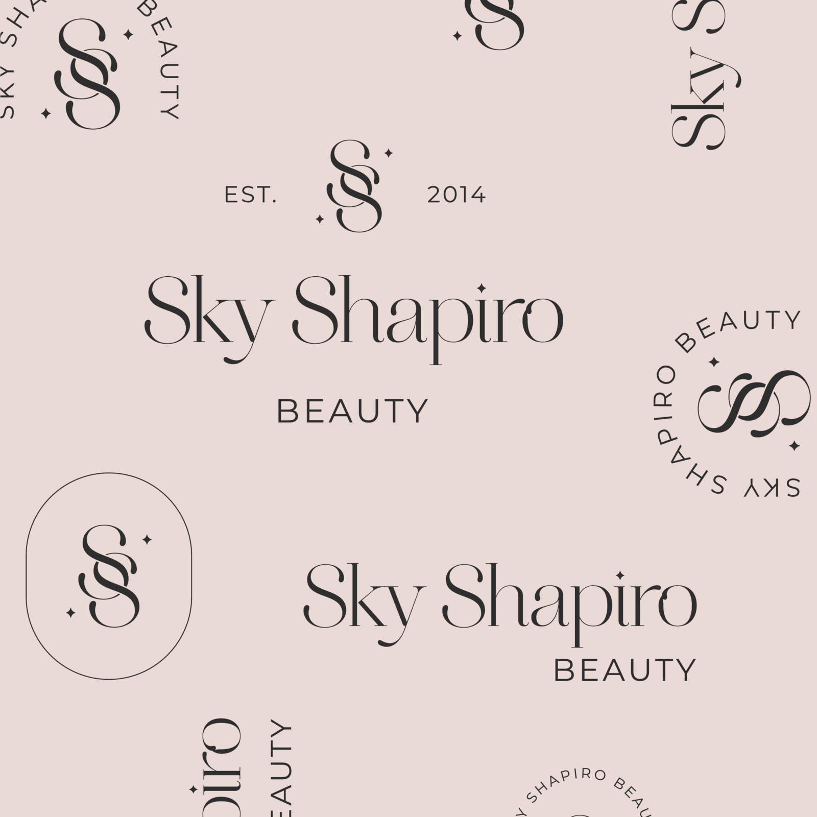 Sky Shapiro Launch Graphics-48