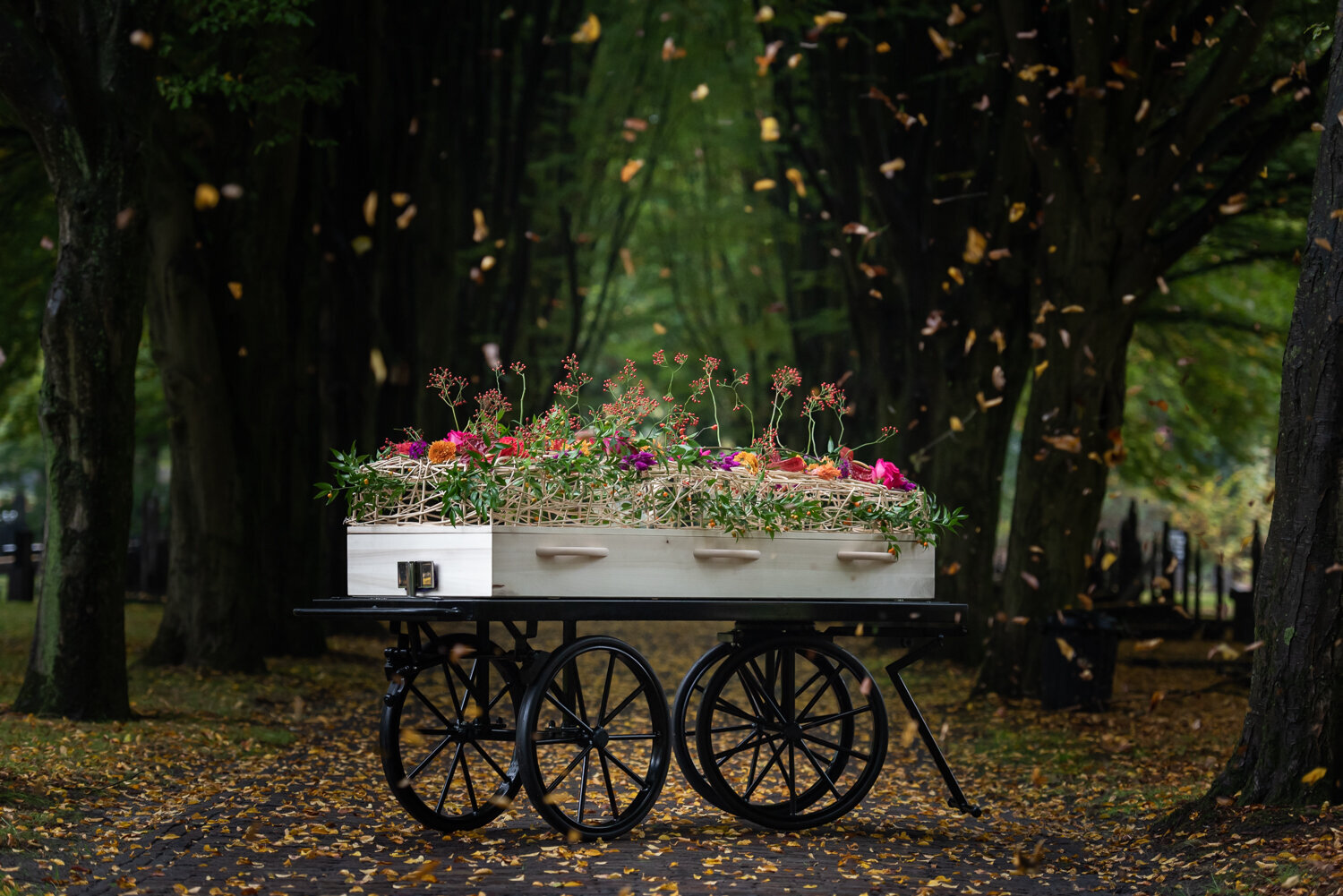 Leg de ziel van uw bedrijf vast met bedrijfsfoto's die een verhaal vertellen. Hilde Fotografie in Drenthe brengt de essentie van uw bedrijf tot leven met sfeervolle en professionele beelden