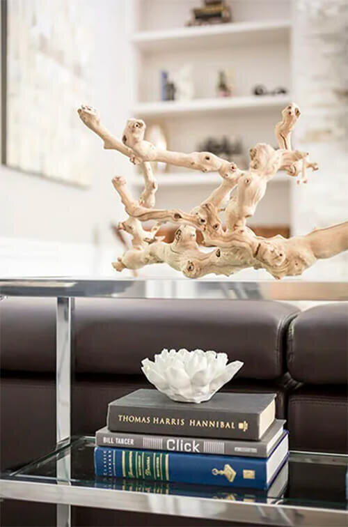 Georgian-Manor-Lionsgate-Interior-Design-Missisauga-interior-home-renovation-10