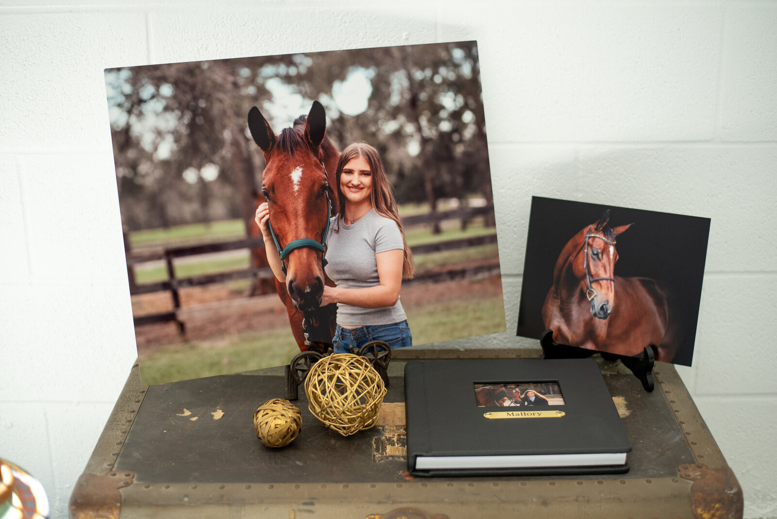 Senior girl with her horse on metal print and album