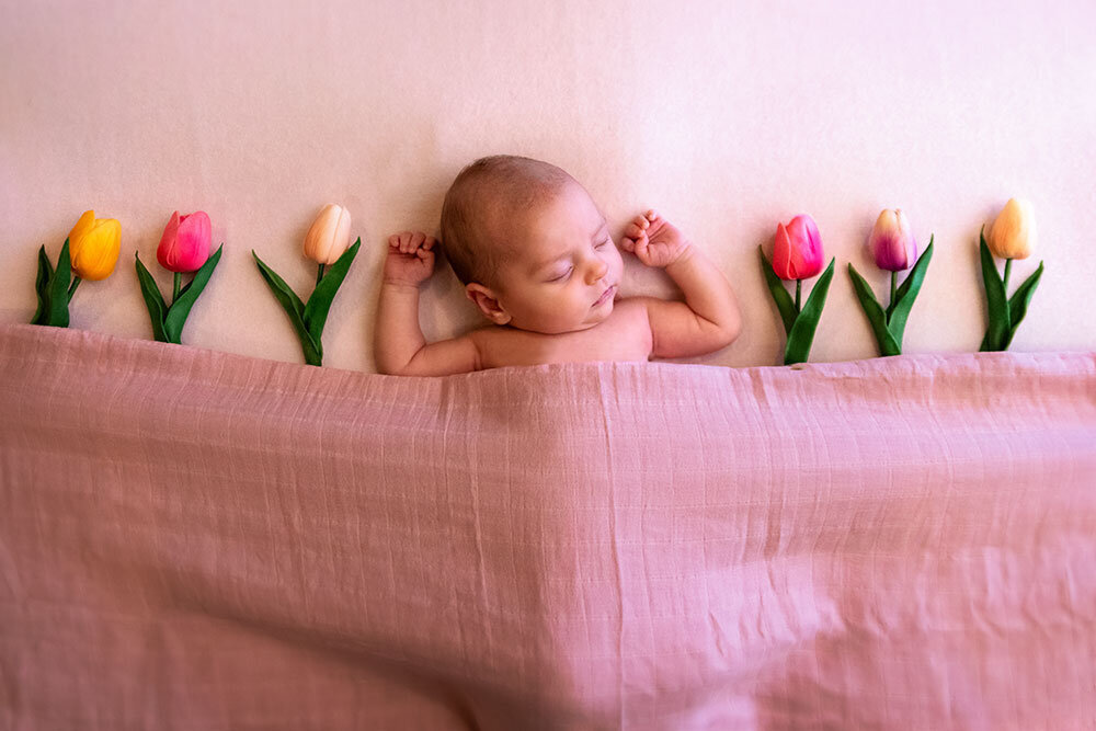 newborn-tulips-sleeping-creative-soft-light-spring-colorado-photographer-flowers