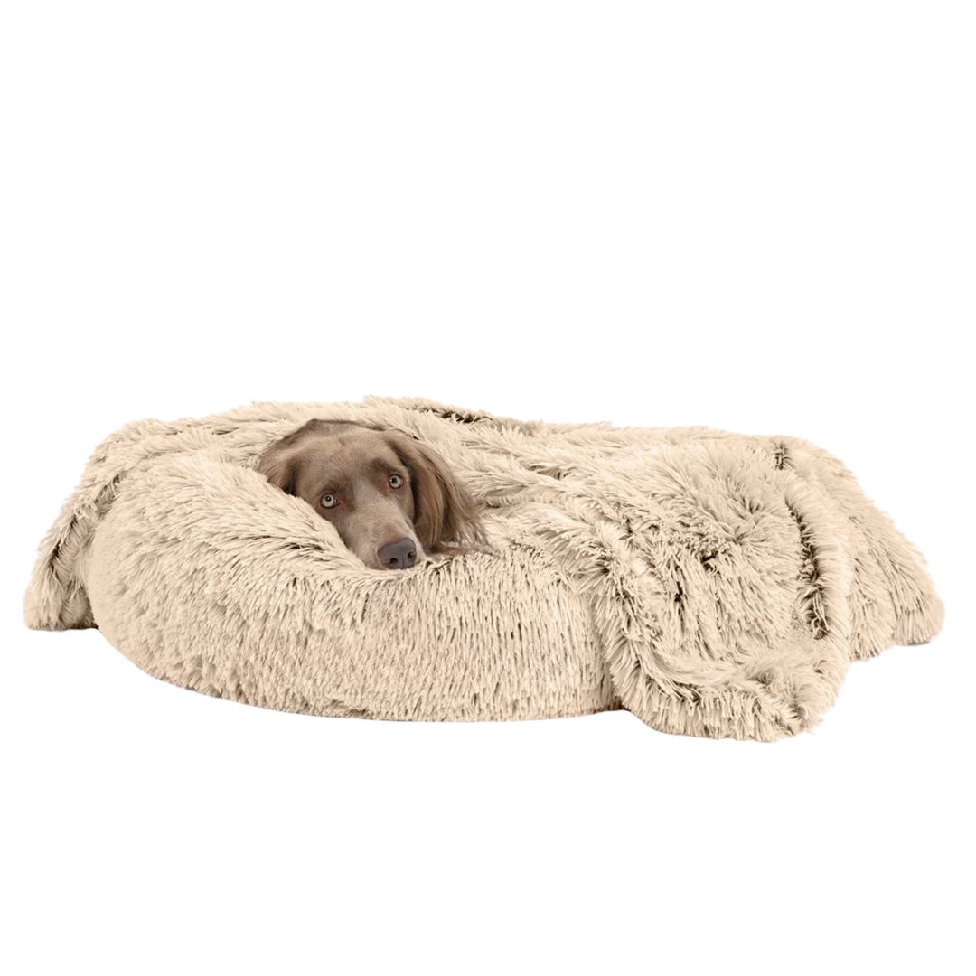 furry dog blanket