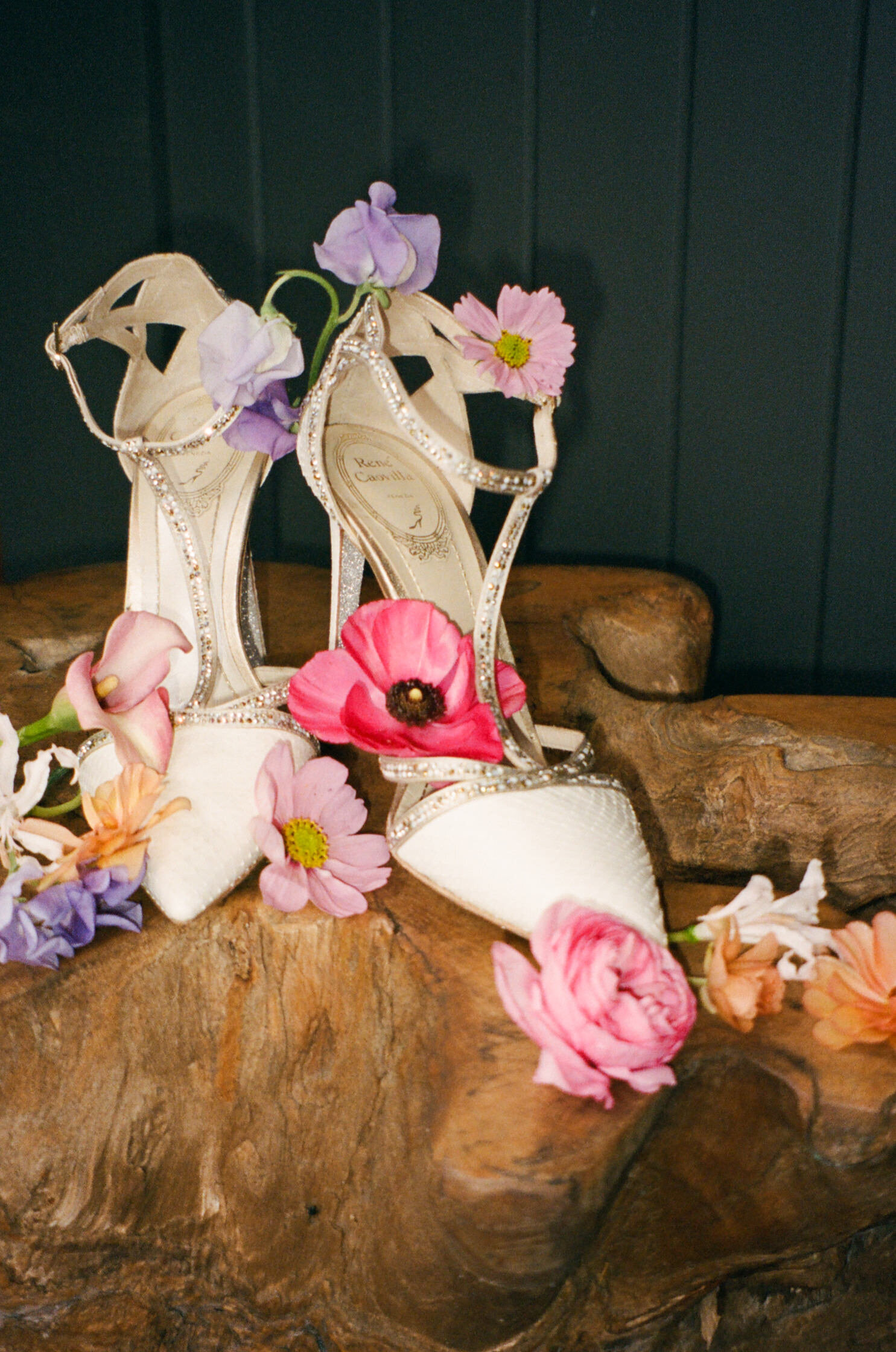 Persian Sonoma Wedding9