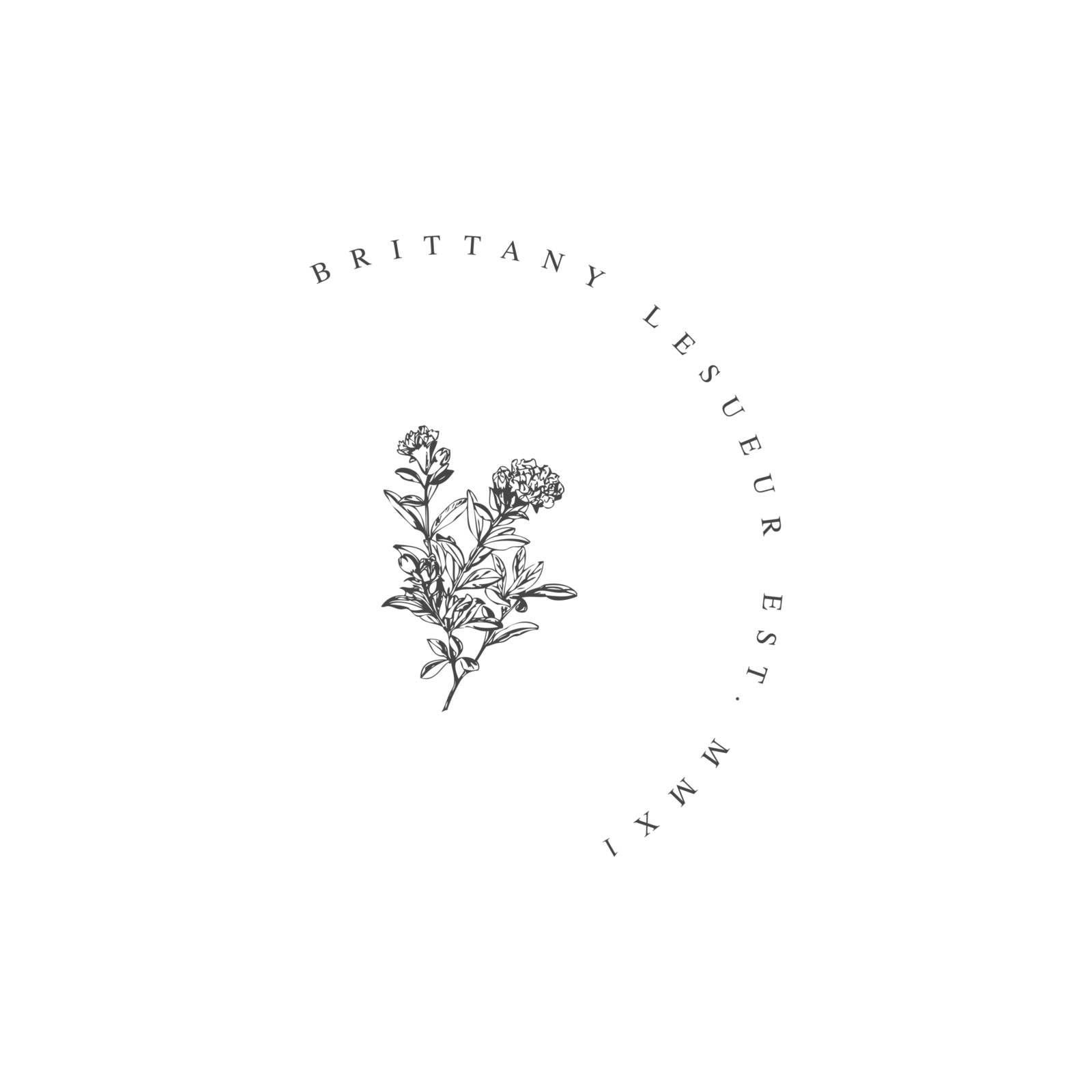 BL-submark-2