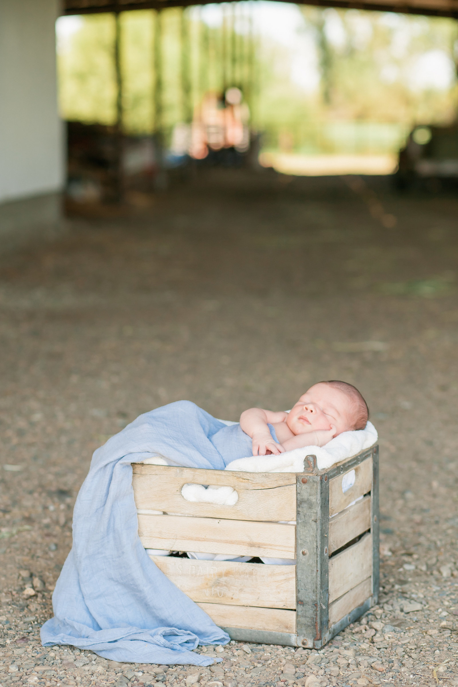 Cottonwood CA Newborn session baby in milk crate in barn