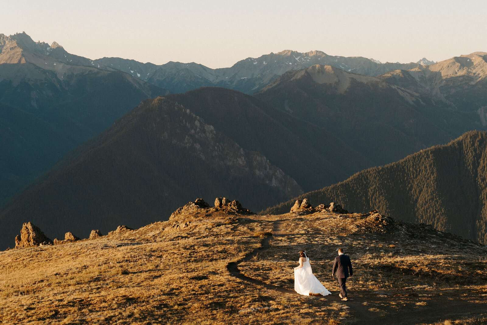 Bride and groom saying their wedding vows in front of Mount Rainier at sunrise