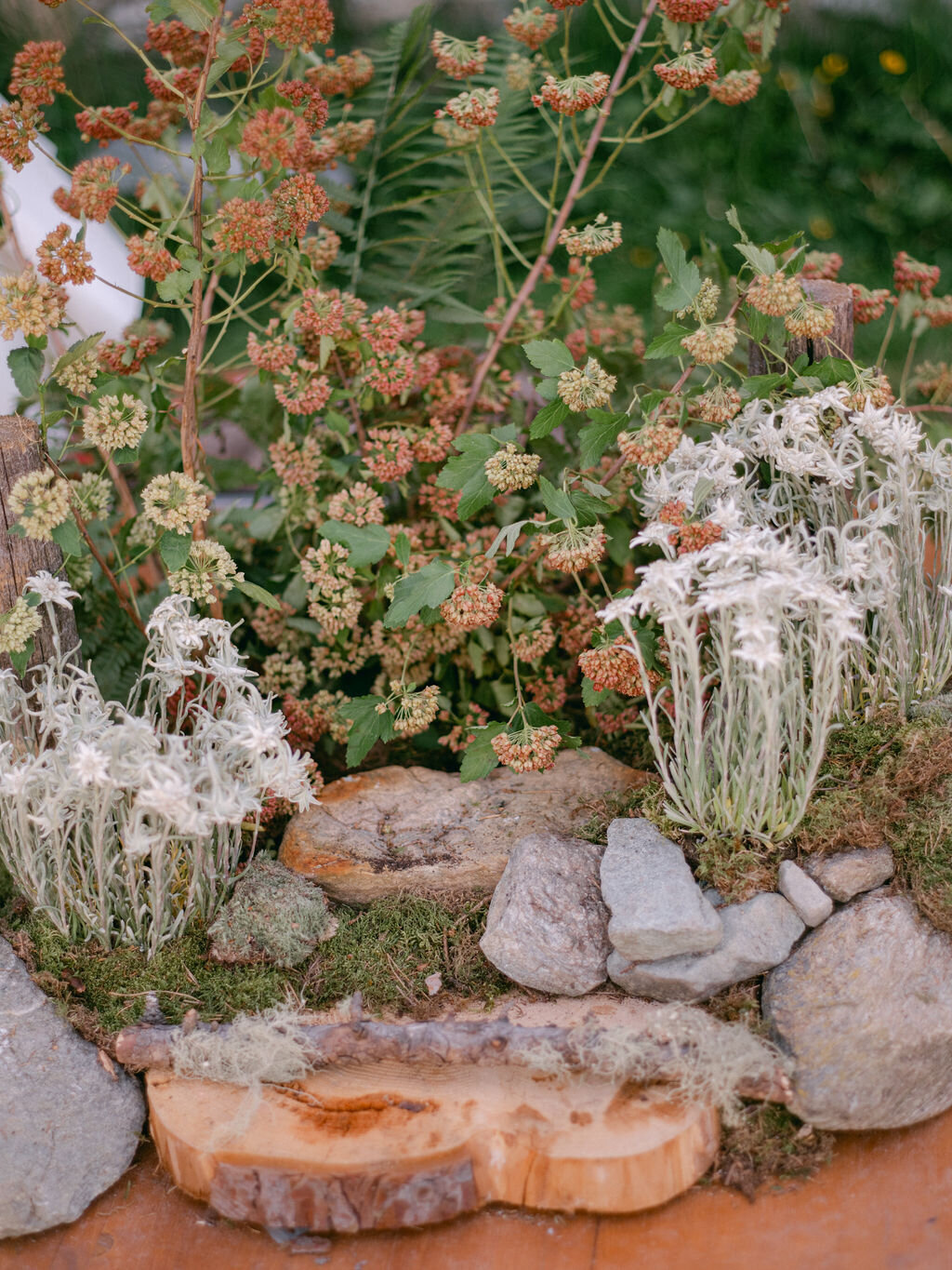 Andrada Flower Design Weddings 12