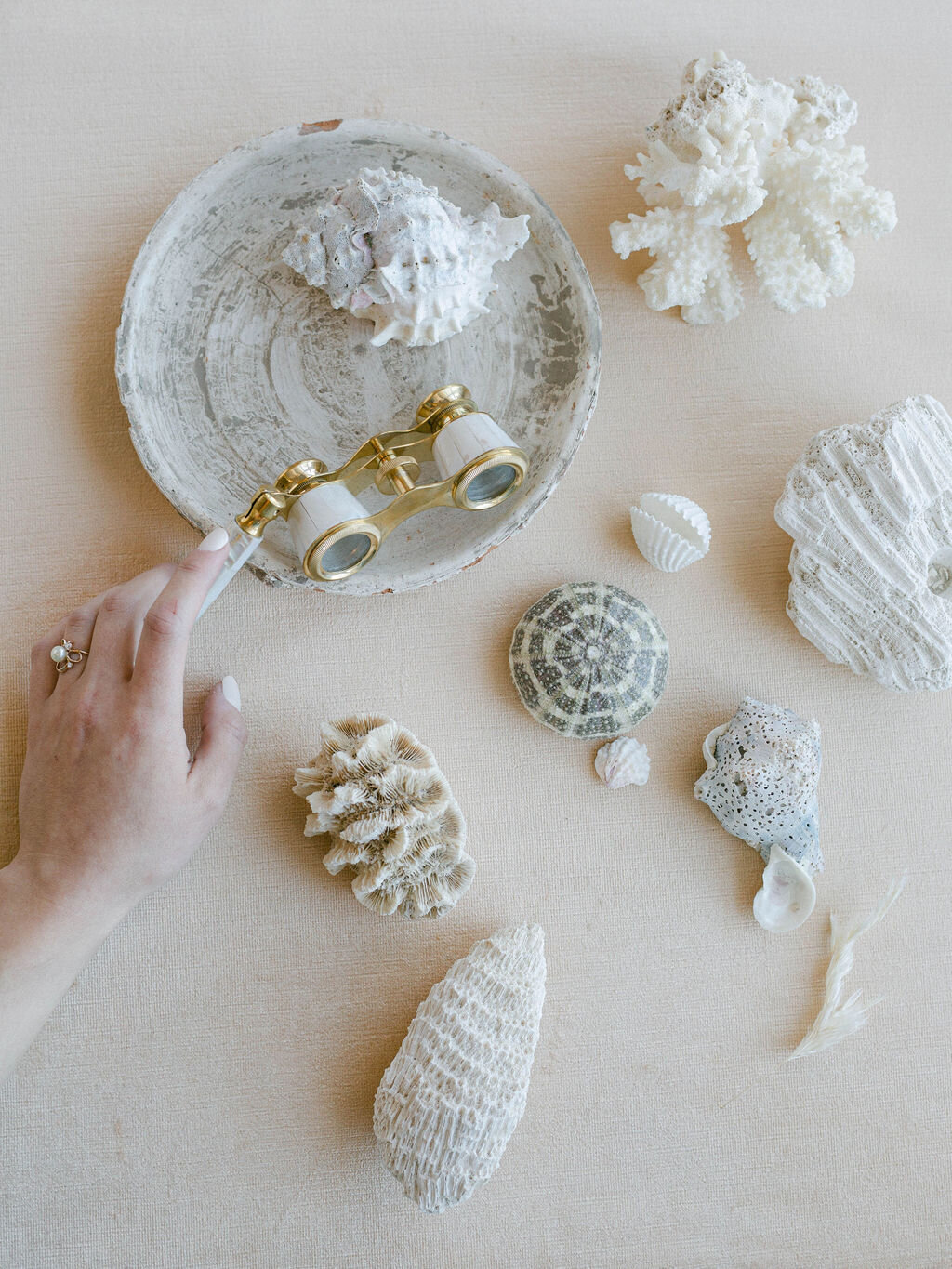 shells for destination wedding at Kaiya beach resort