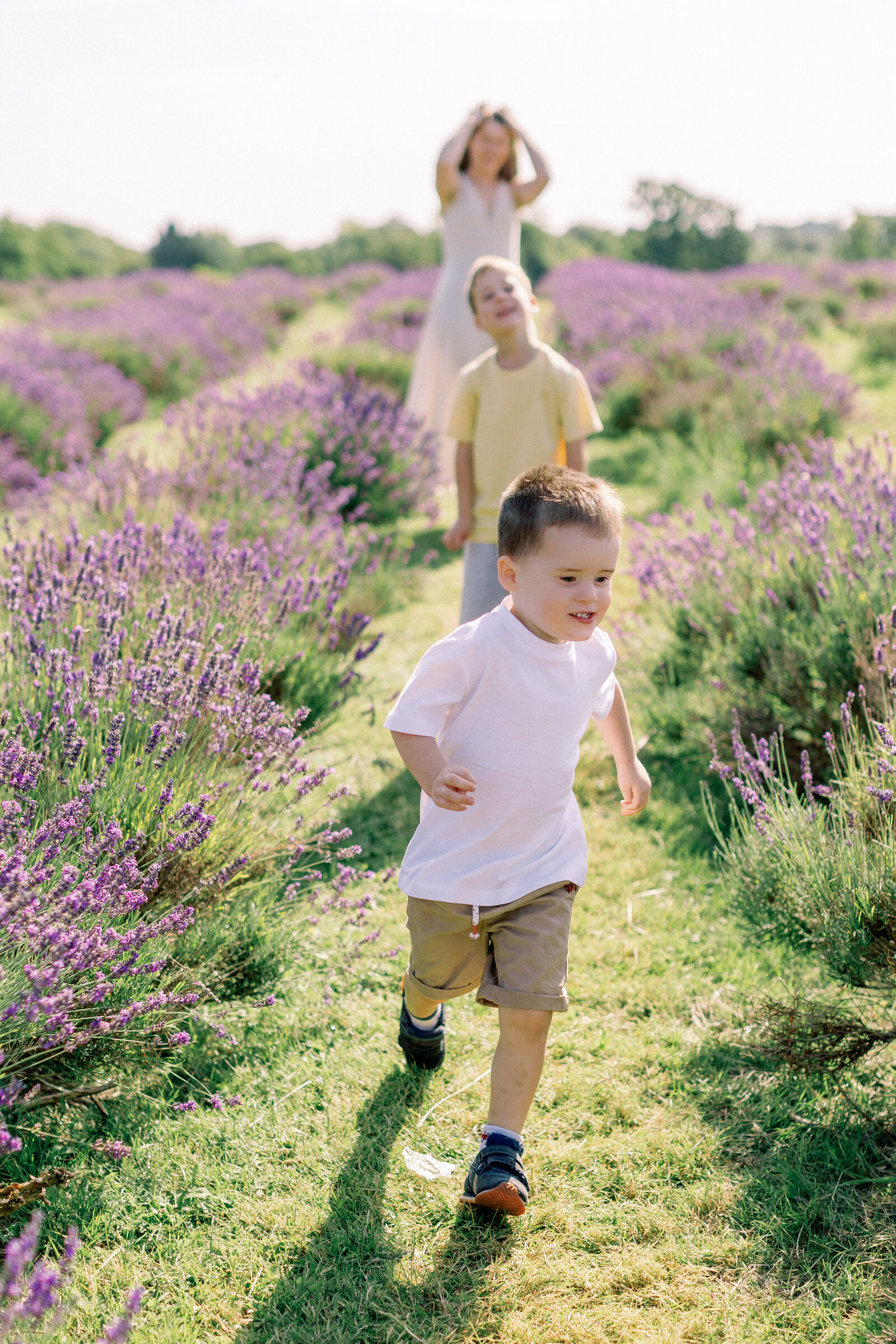 lavender-mini-shoot-2024-philippa-sian-photography