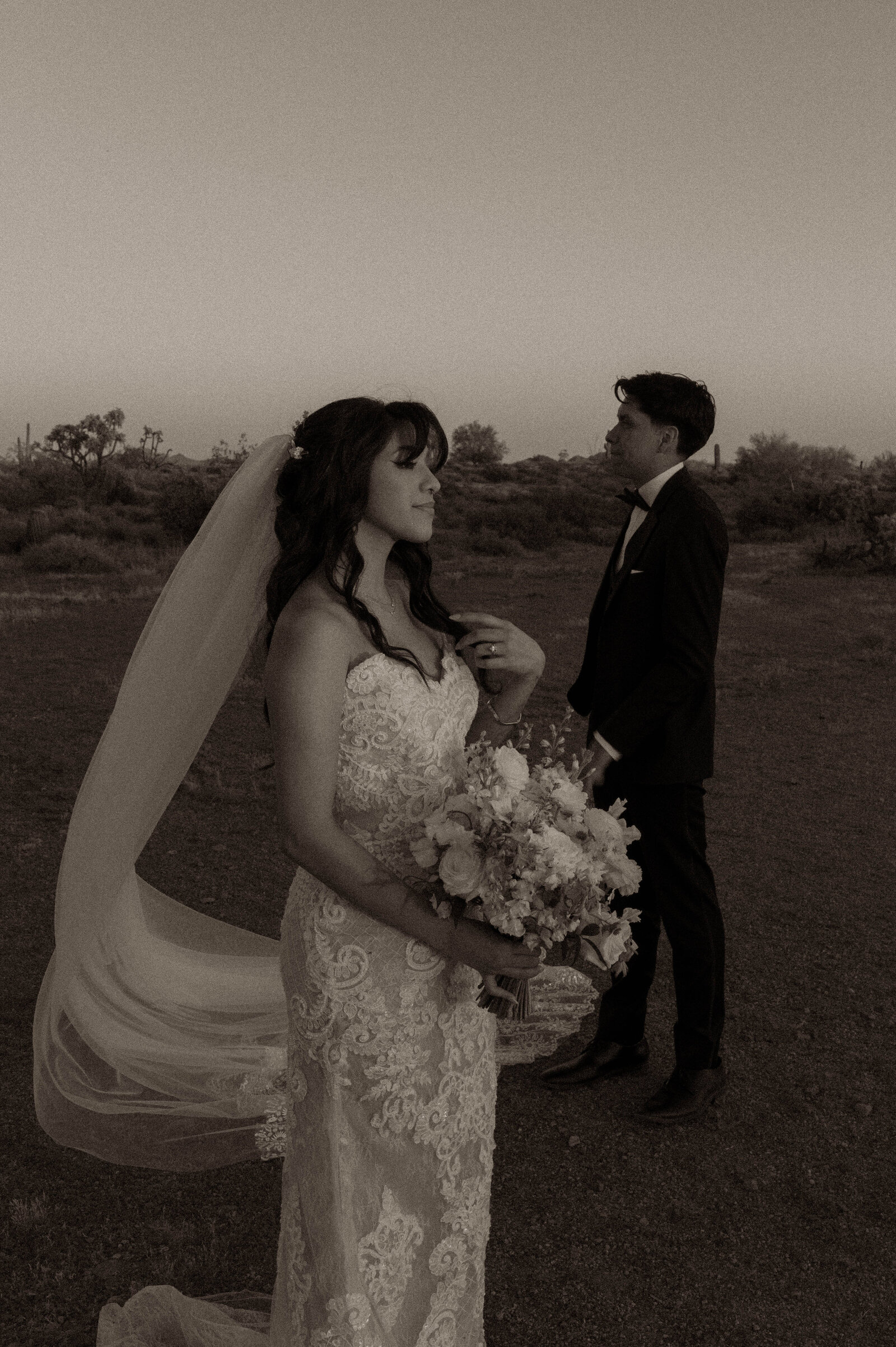 TheCarmonasWeddingAZ-988