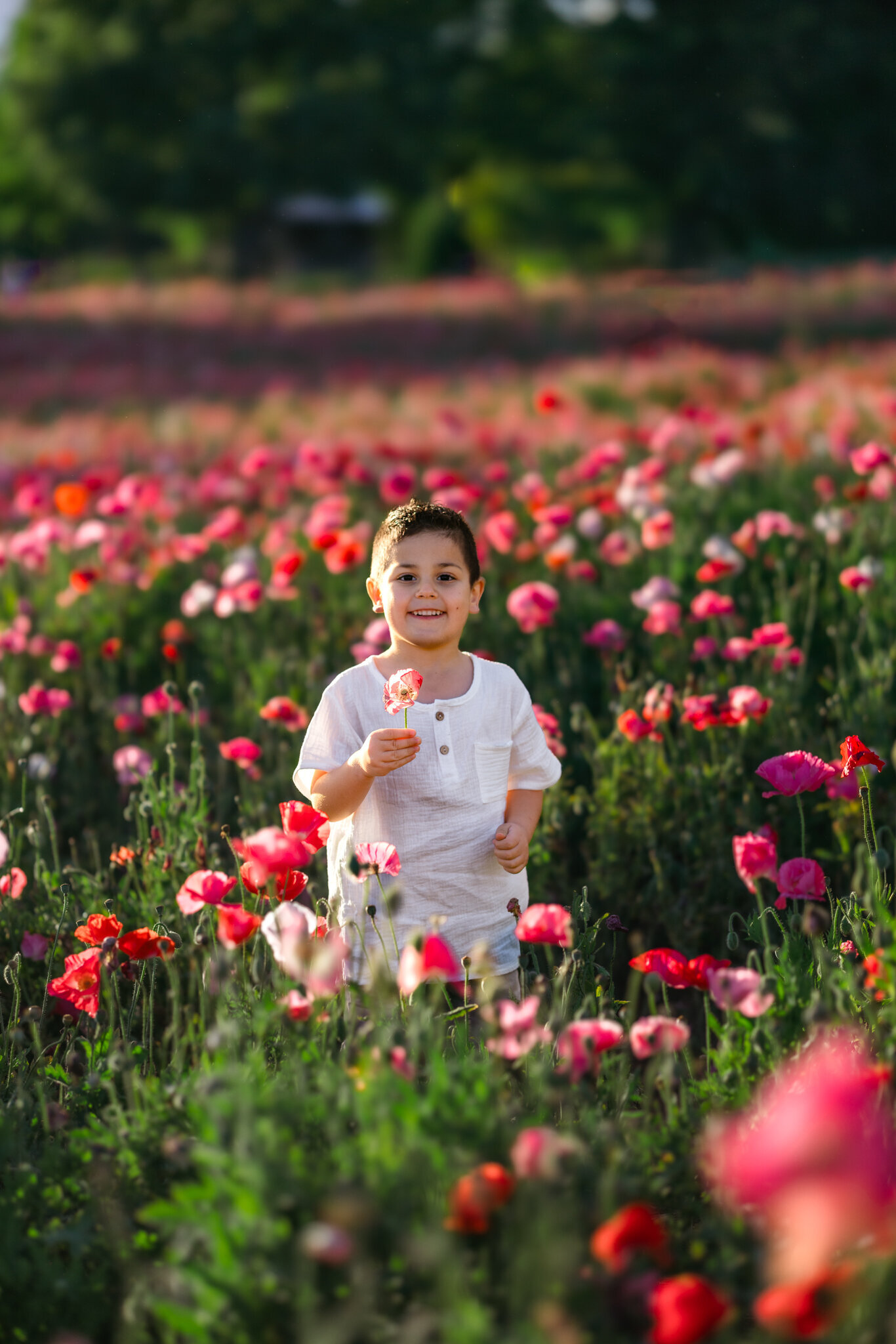 raleigh-family-photographer-2732