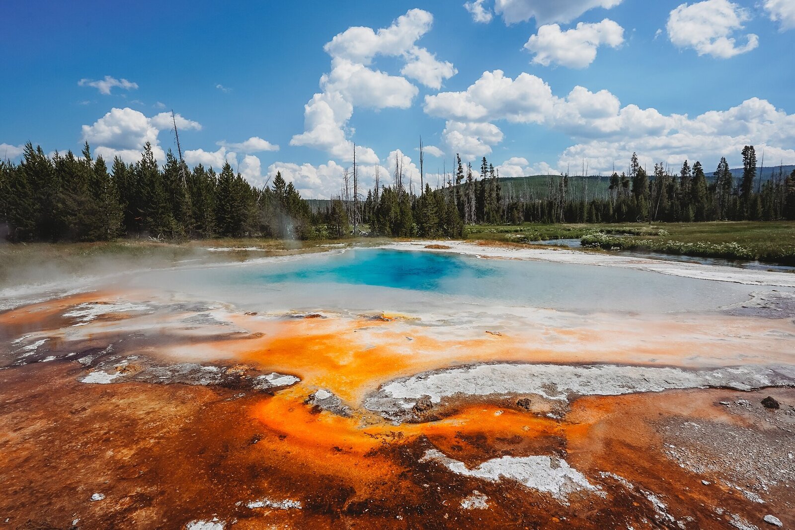 yellowstone-road-trip