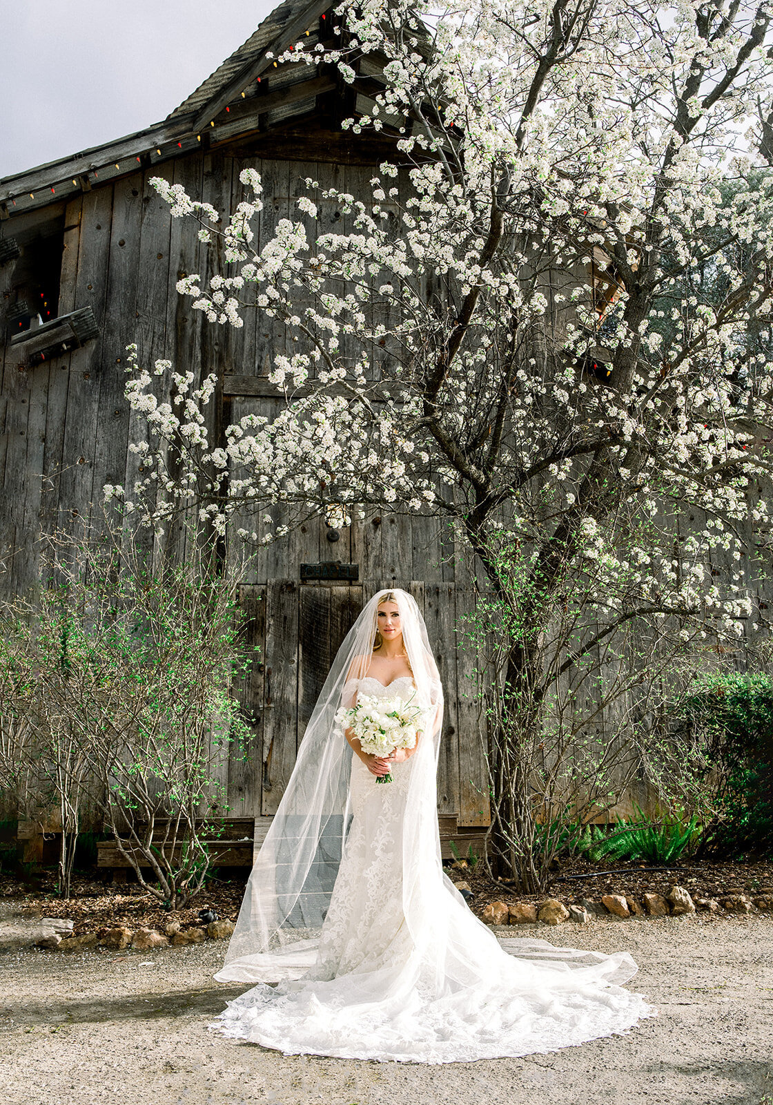 Bride at Union Hill Wedding, California