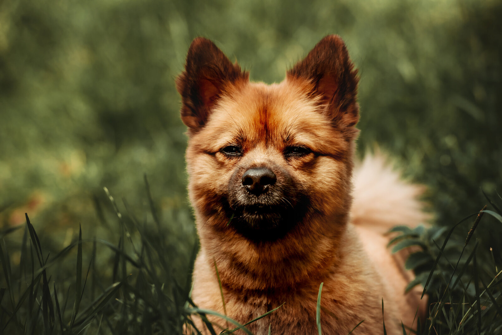 Fotoshoot buiten op locatie in Nissewaard met ontspannen sfeer