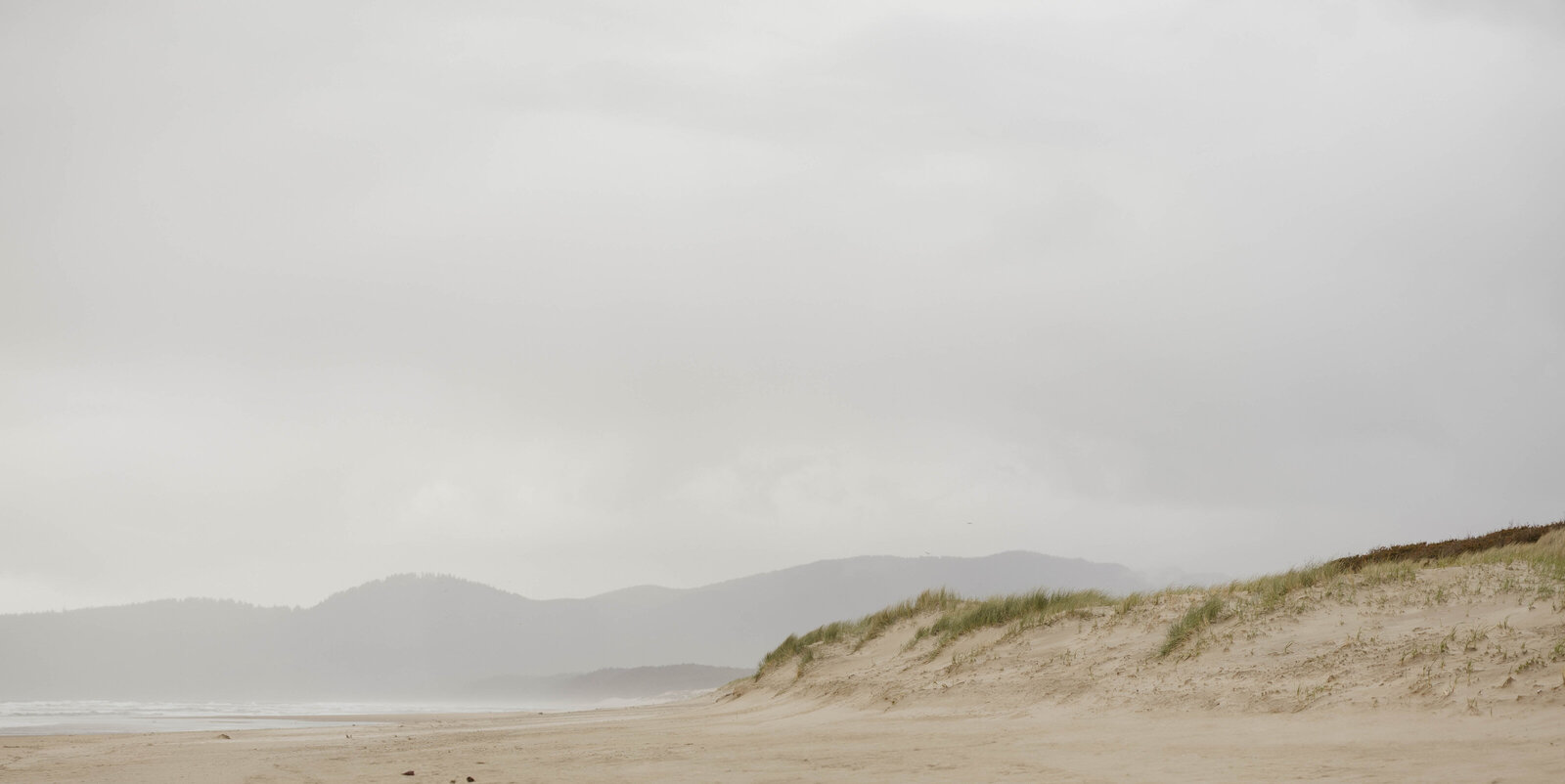 Elopement photographer capturing an elopement ceremony site in Oregon.