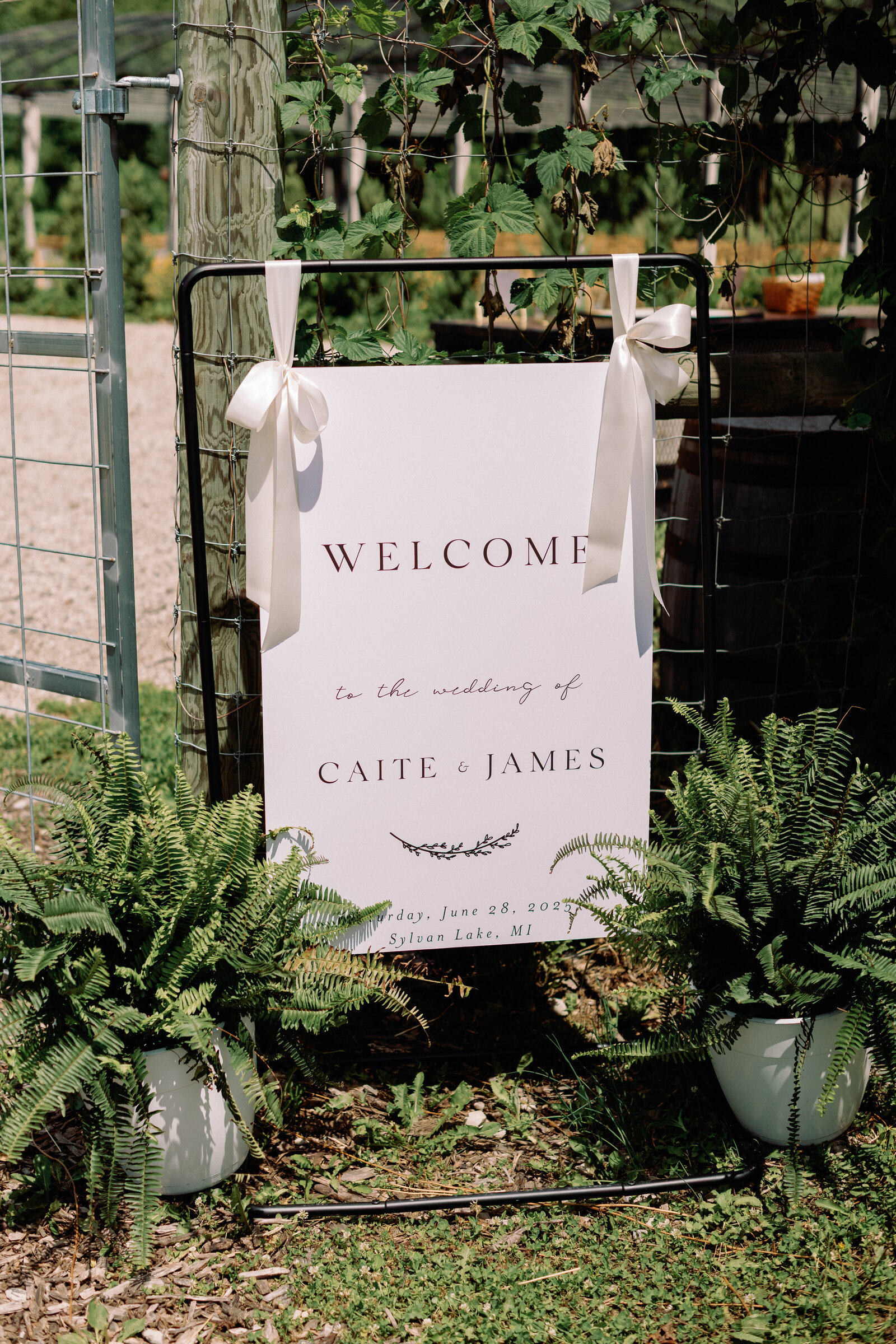 caitejames-3