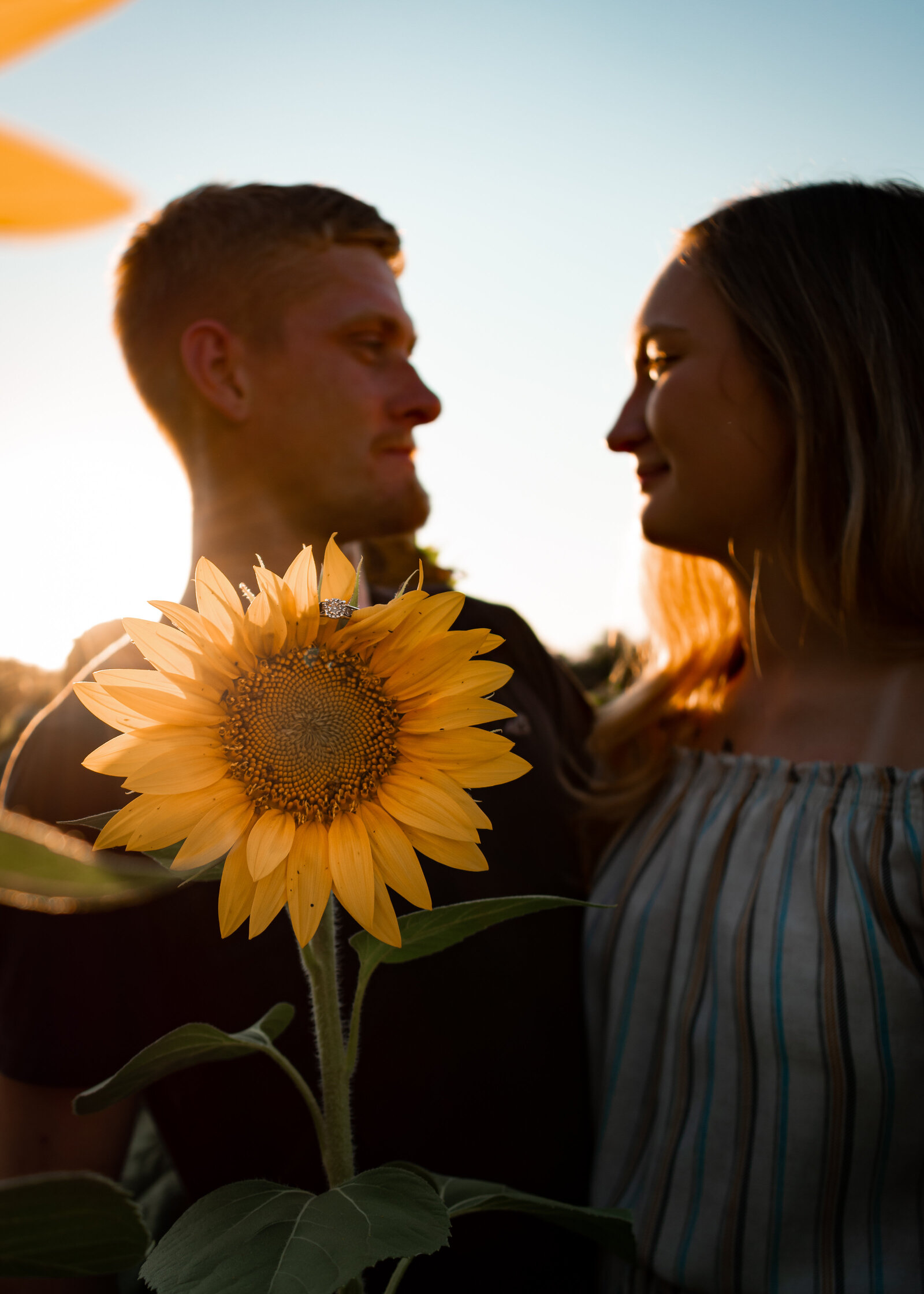 couples portrait in sunflower field