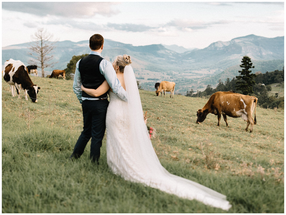 Hinterland view at Scenic Rim Wedding