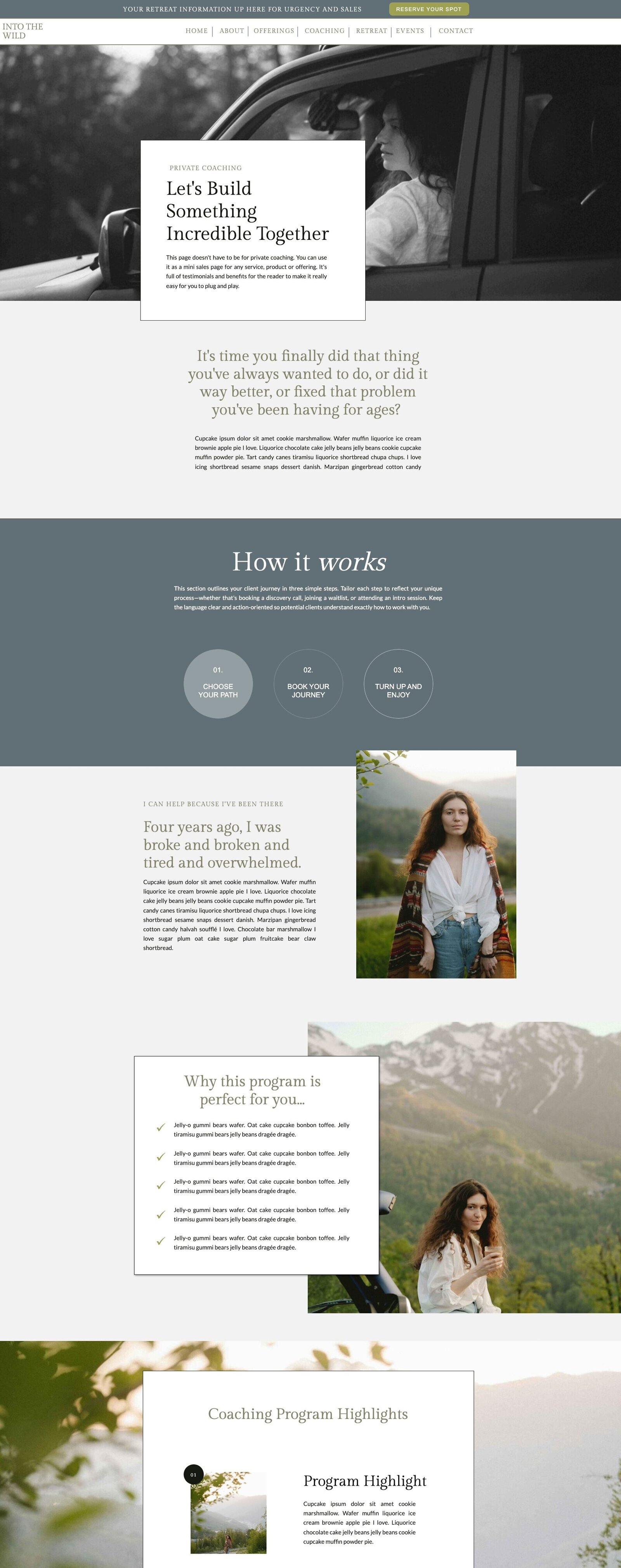 INTO THE WILD COACHING 1 PAGE
