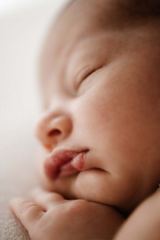 Shire Newborn Photography Sydney-33