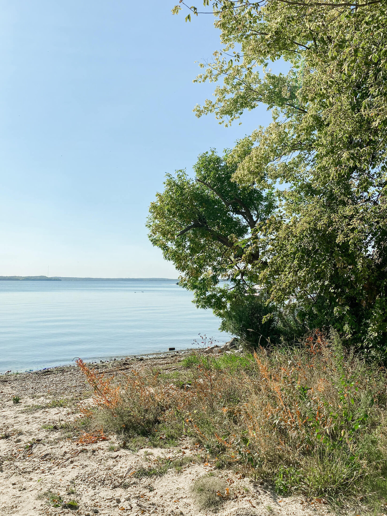 Maple Bluff-8