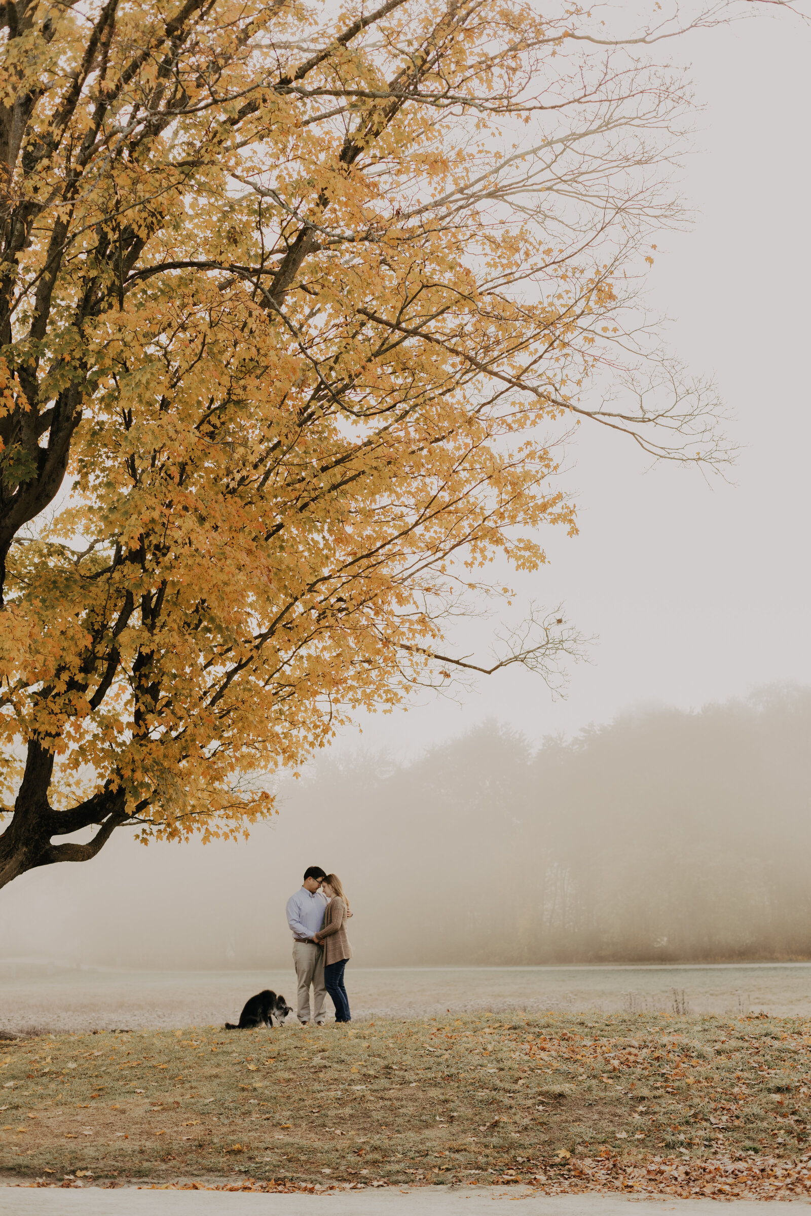 Boston_Maternity_Photographer_IMG_3324