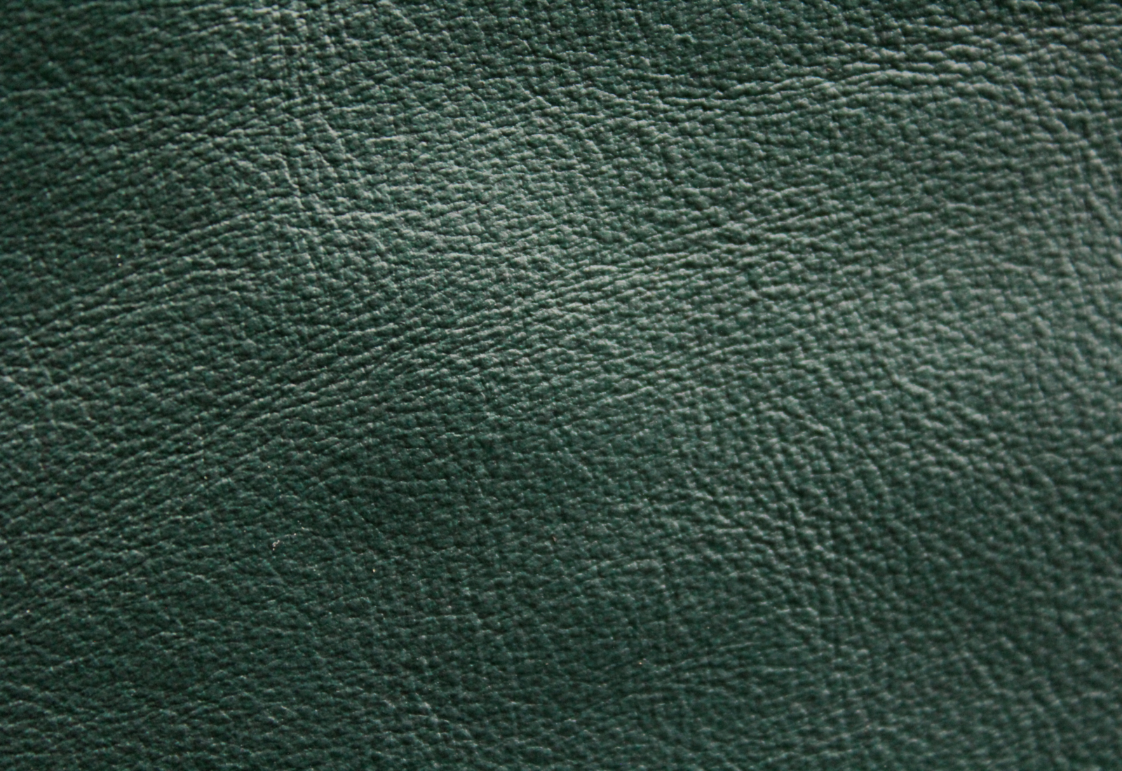 Amadeus Sapphire Leather
