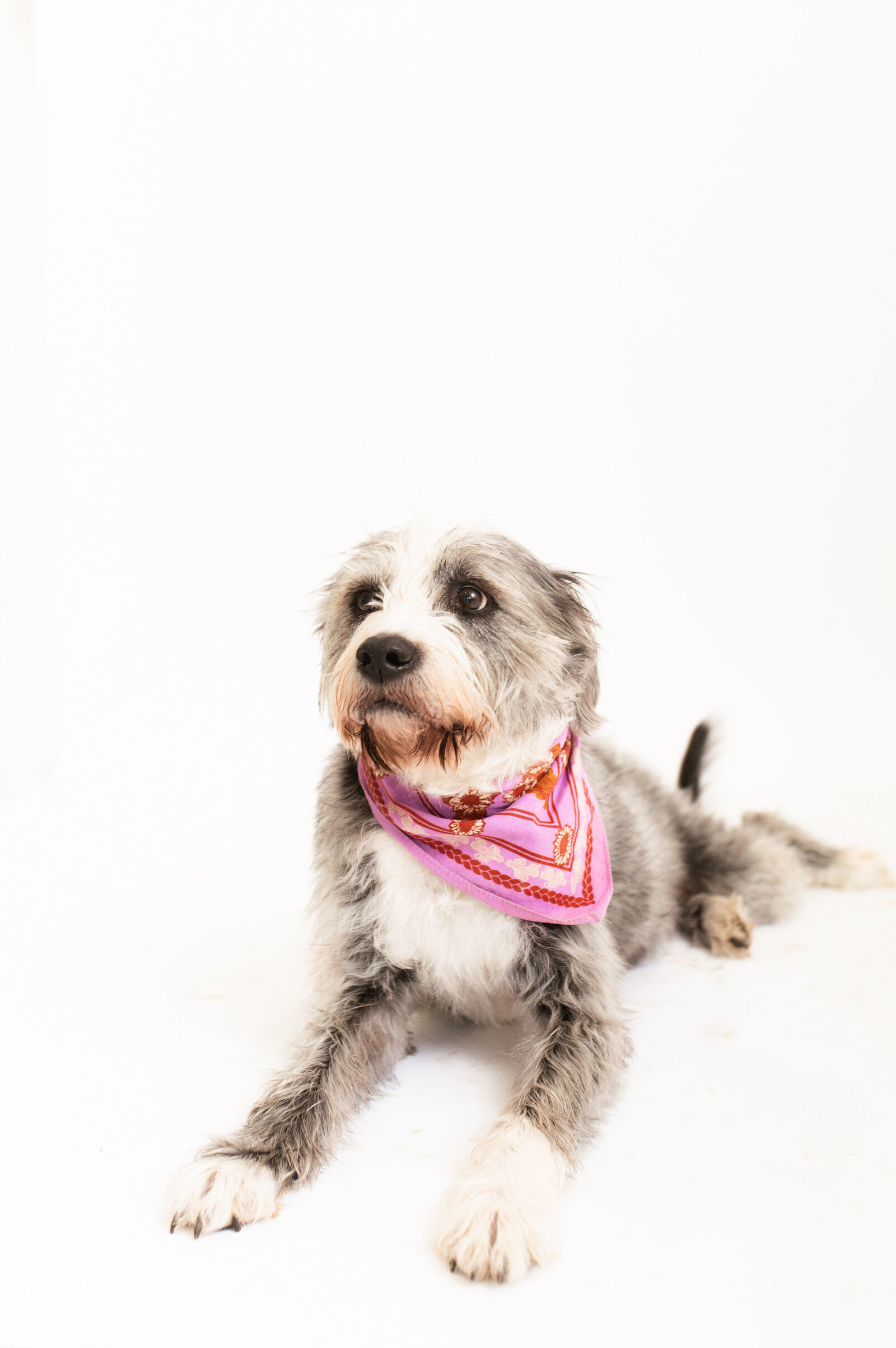 Baton Rouge Studio Photography-25