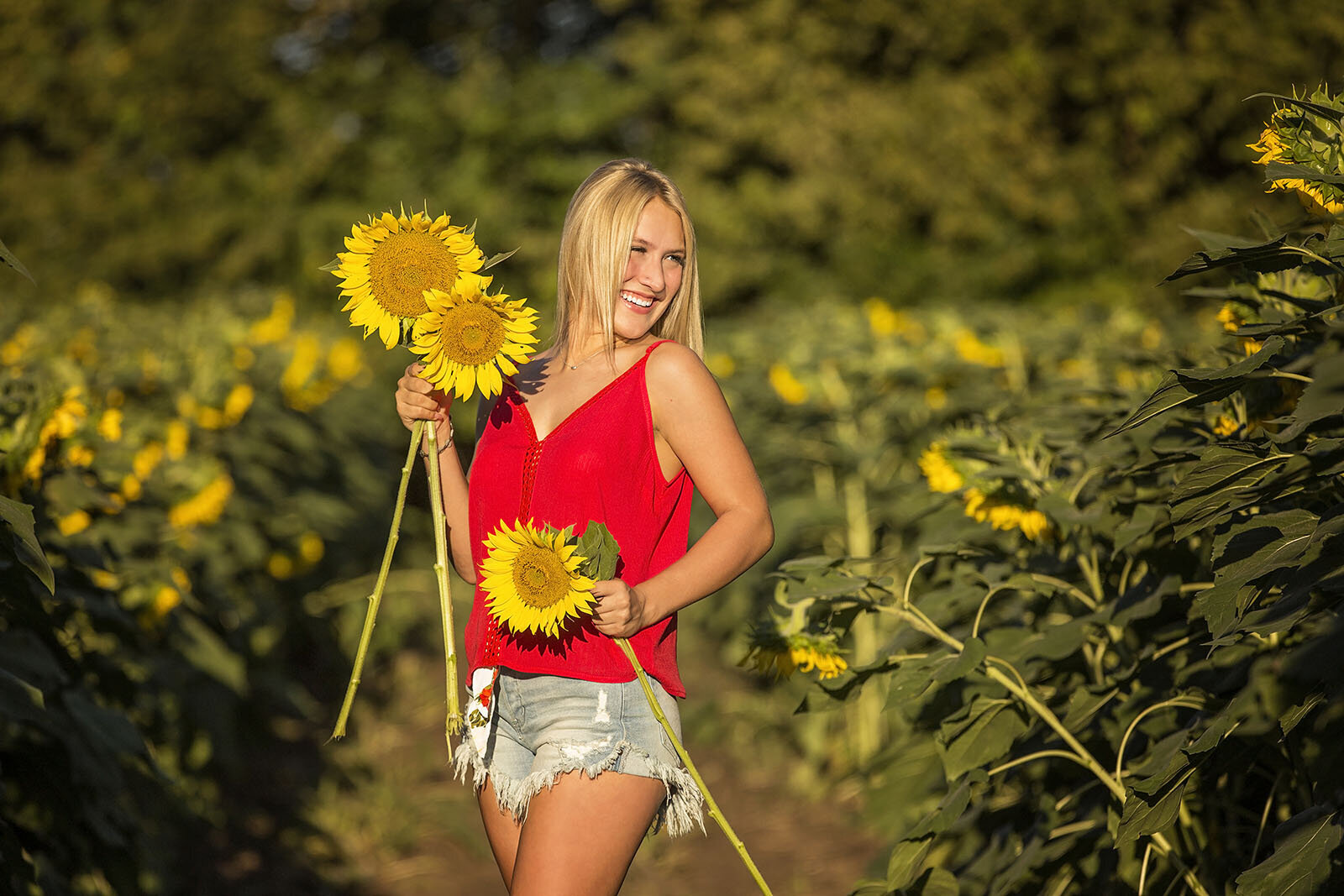 sunflower-photo-sessions