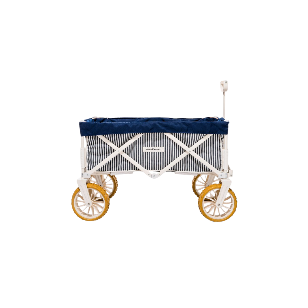 wagon for senior dog (1)