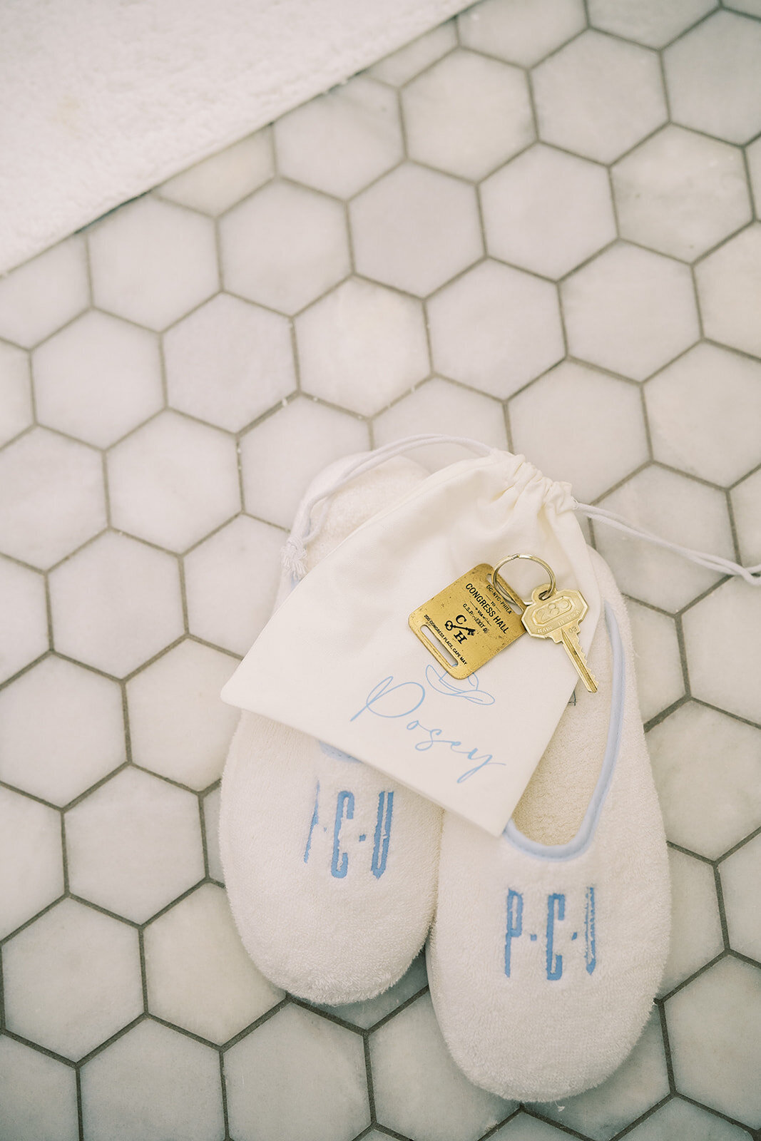 rachelpearlmanphotography_carlinivalis-661