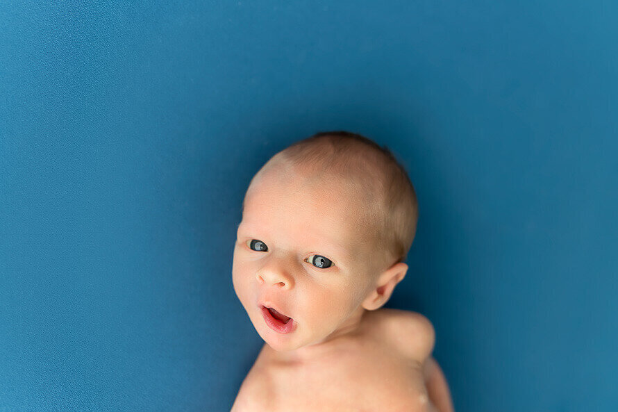 Newborn baby boy look at camera on a blue backdrop.