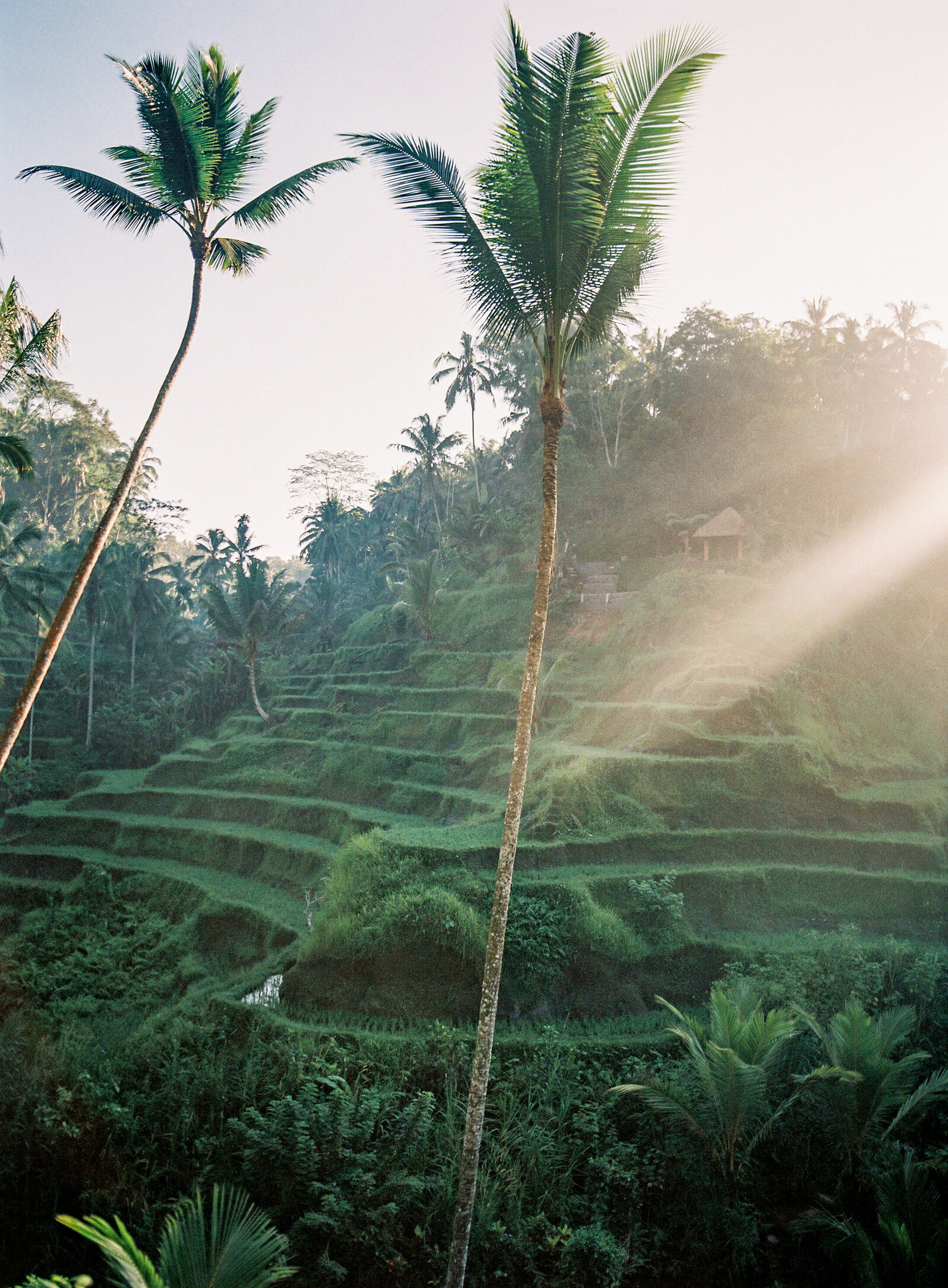 Bali_glasshouse_Tirtha_Uluwatu_Wedding_Fine_Art_Film_Photographer__Luxury_Wedding_Asian_Vicki_Grafton_Photography-149