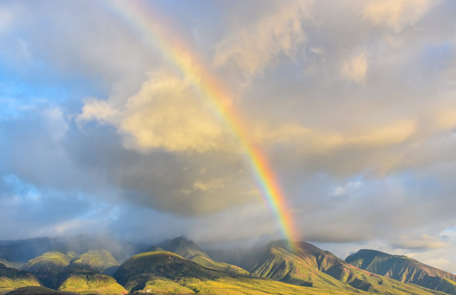 look-up-look-down-photography-t02XukS9dUU-unsplash