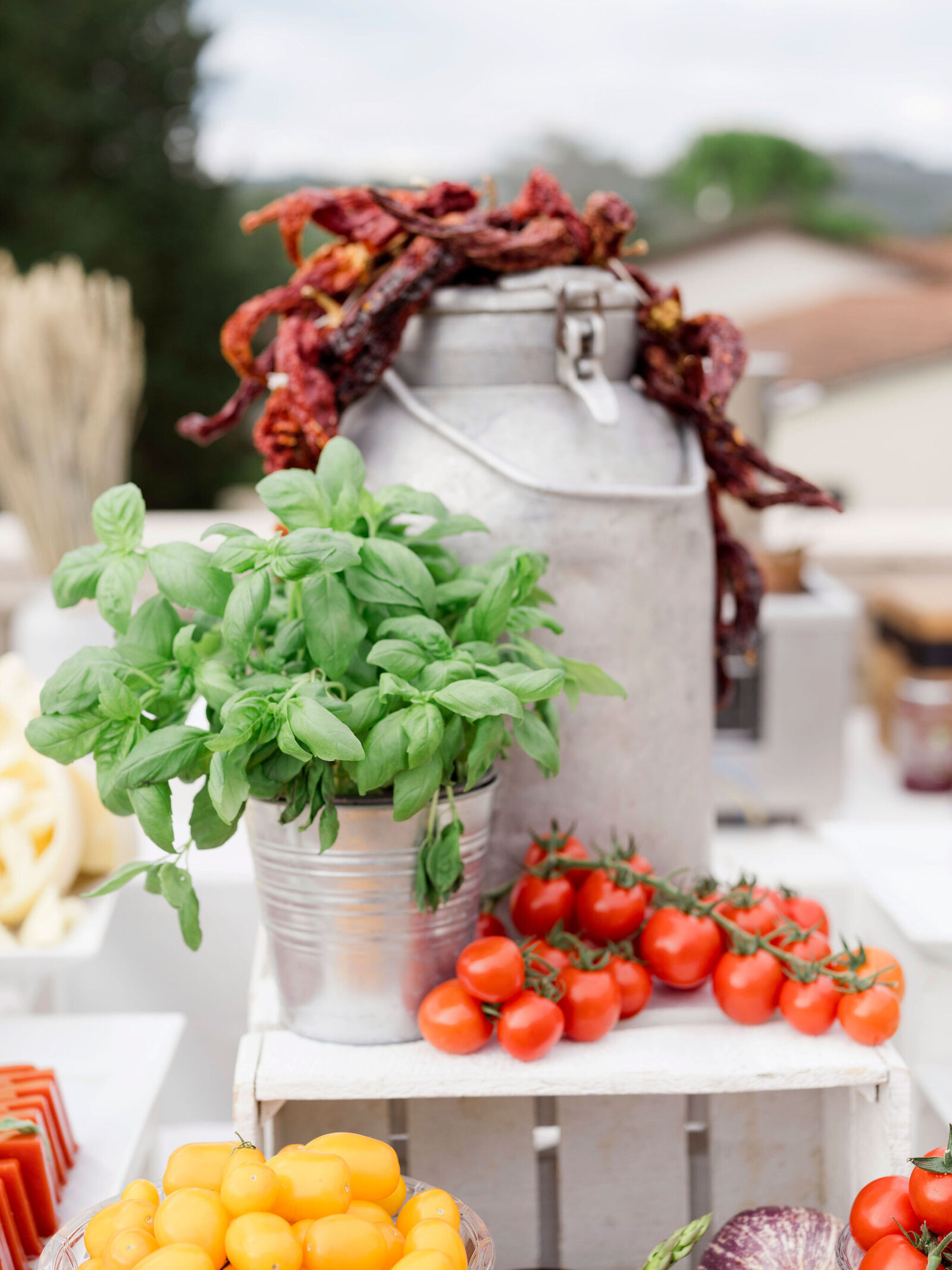 177_manuelle_robin_wedding_preview